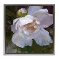 thumbnail image 1 of Stupell Industries Cottage Gray Floating Frame Canvas Art, 25 x 25, by Katie Swatland, 1 of 8