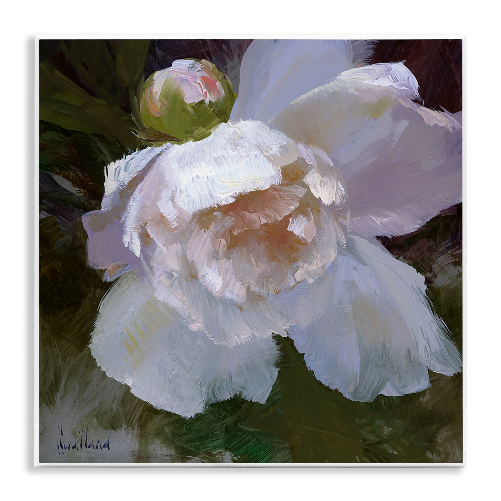 Stupell Industries Ruffled Petals White Flower Plants & Flowers Painting Unframed Art Print Wall Art, 12 x 12