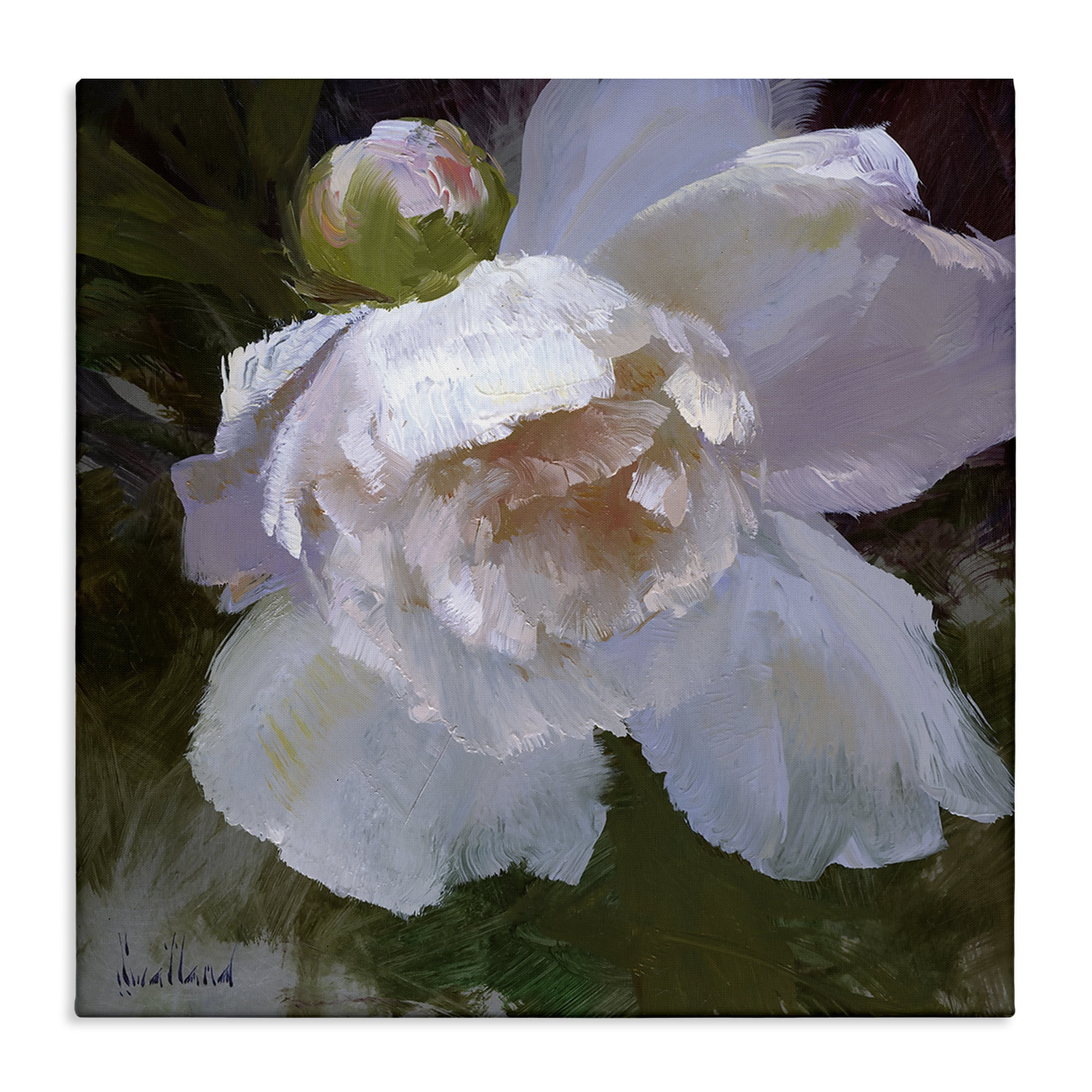 Stupell Industries Ruffled Petals White Flower Plants & Flowers Painting Wrapped Canvas Art Print Wall Art, 36 x 36