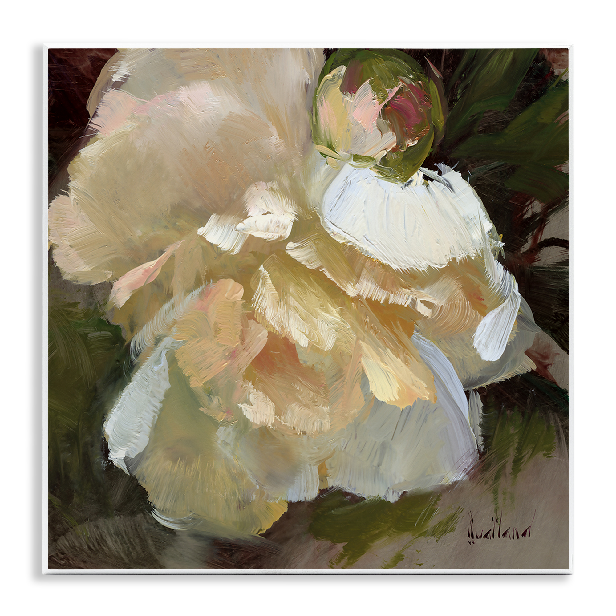 Stupell Industries Ruffled White Flower Plants & Flowers Painting Unframed Art Print Wall Art, 12 x 12