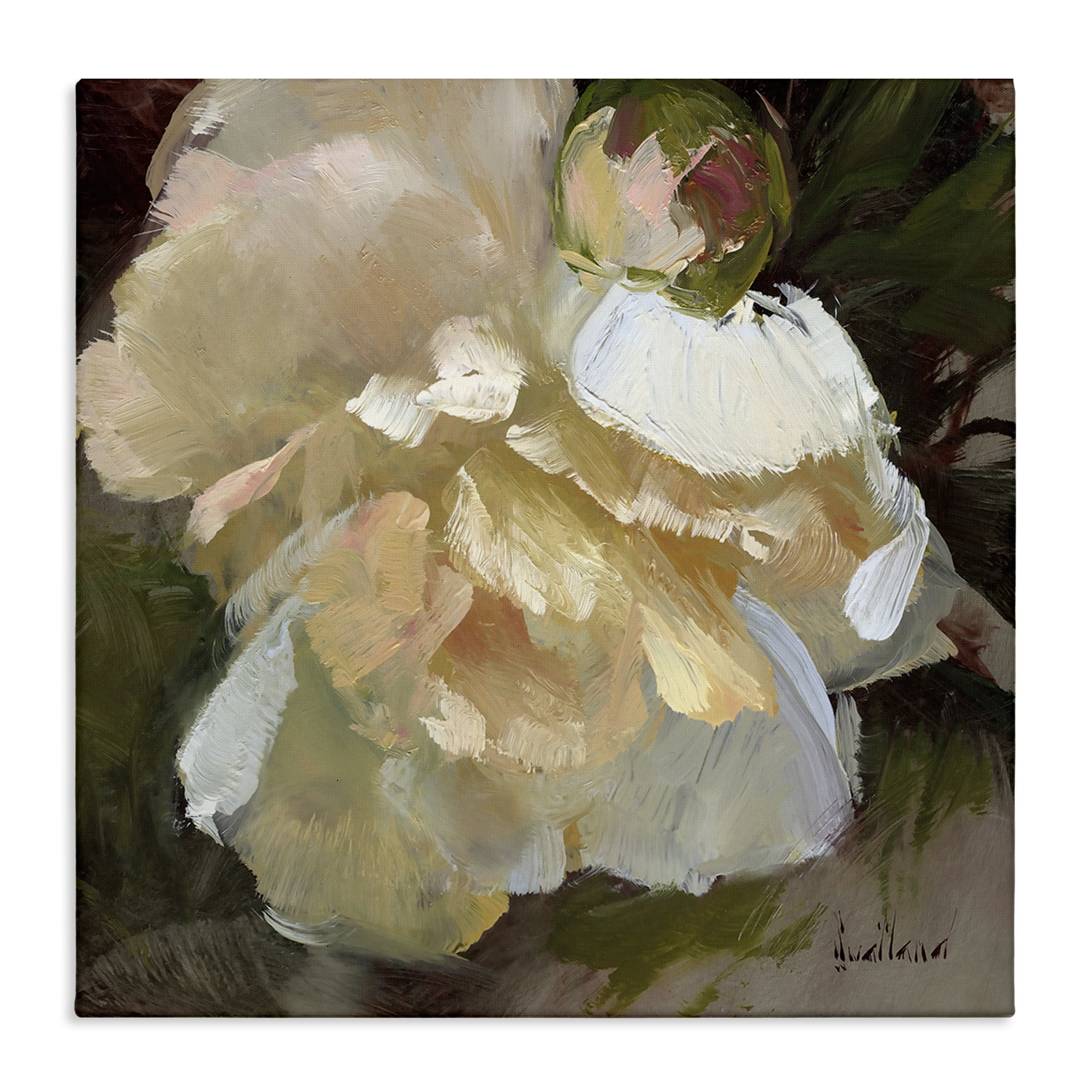 Stupell Industries Ruffled White Flower Plants & Flowers Painting Wrapped Canvas Art Print Wall Art, 36 x 36