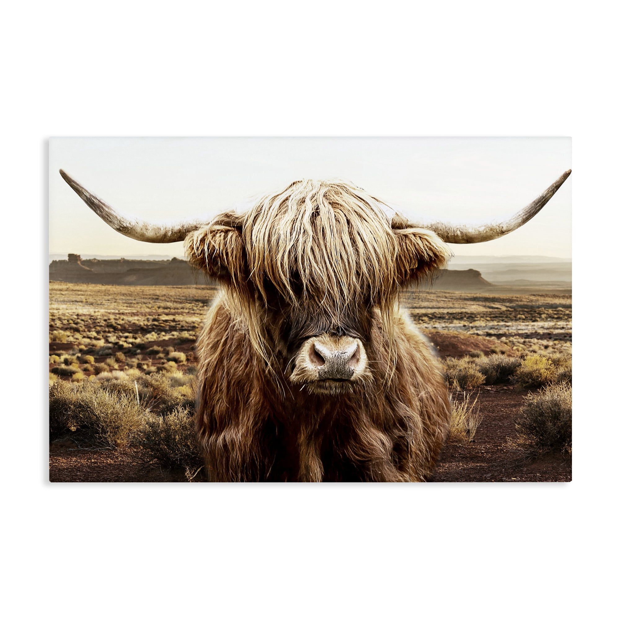 Stupell Industries Rugged Vegetation Cattle Portrait Canvas Wall Art, design by CAD Designs