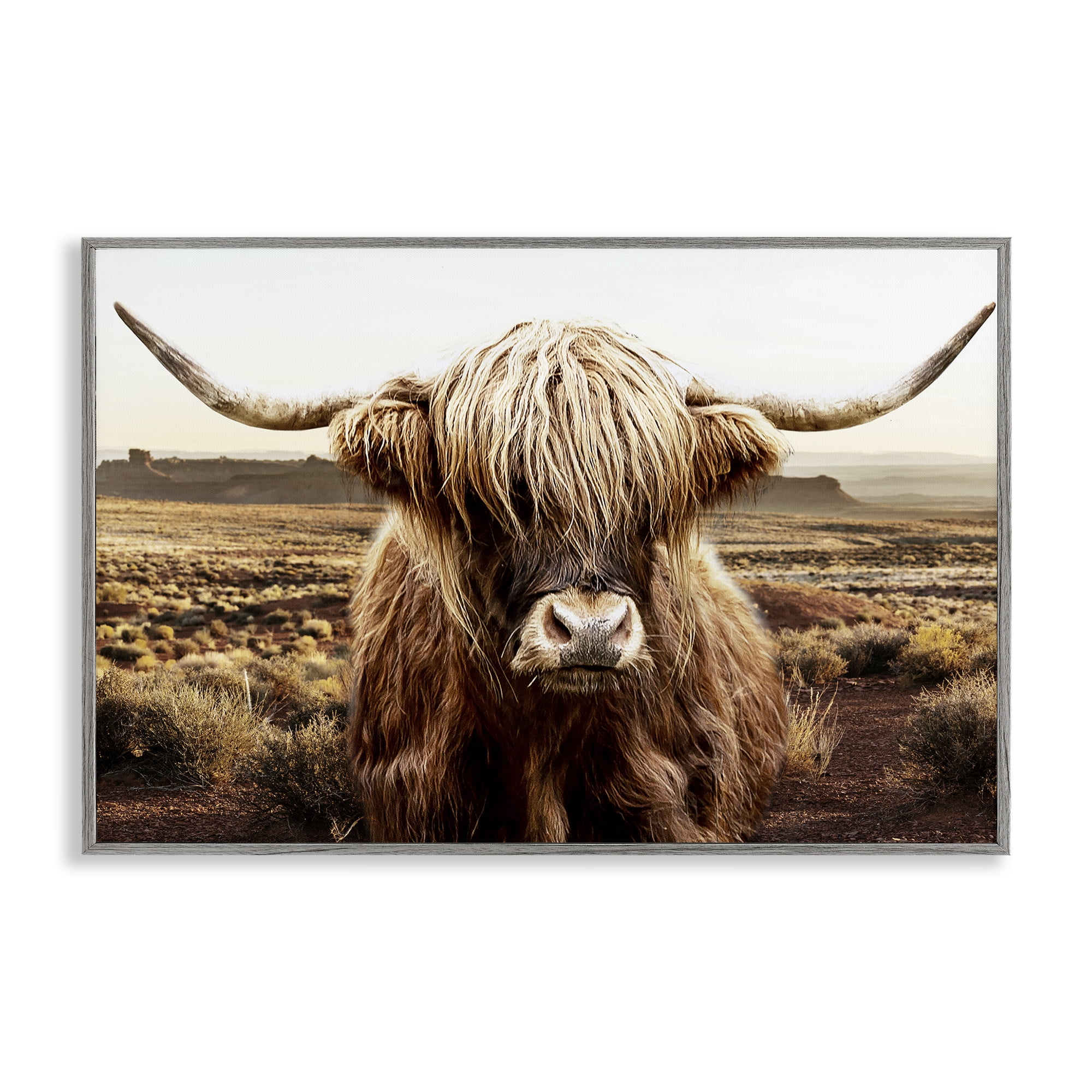 Stupell Industries Rugged Vegetation Cattle Portrait Gray Framed Giclee Art, design by CAD Designs