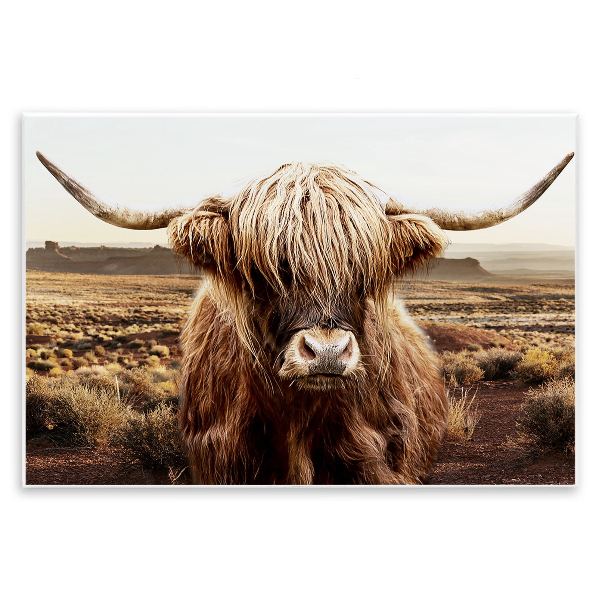 Stupell Industries Rugged Vegetation Cattle Portrait Wall Plaque Art, design by CAD Designs