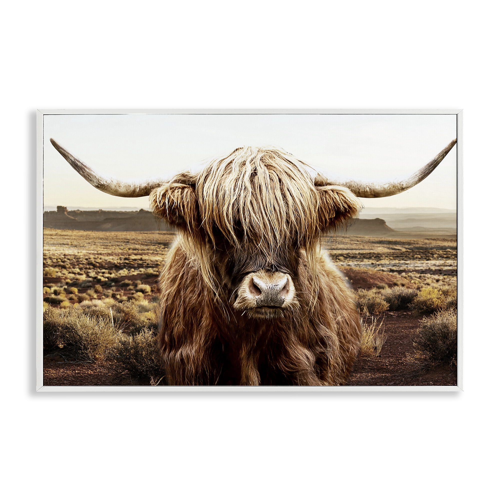 Stupell Industries Rugged Vegetation Cattle Portrait White Framed Giclee Art, design by CAD Designs