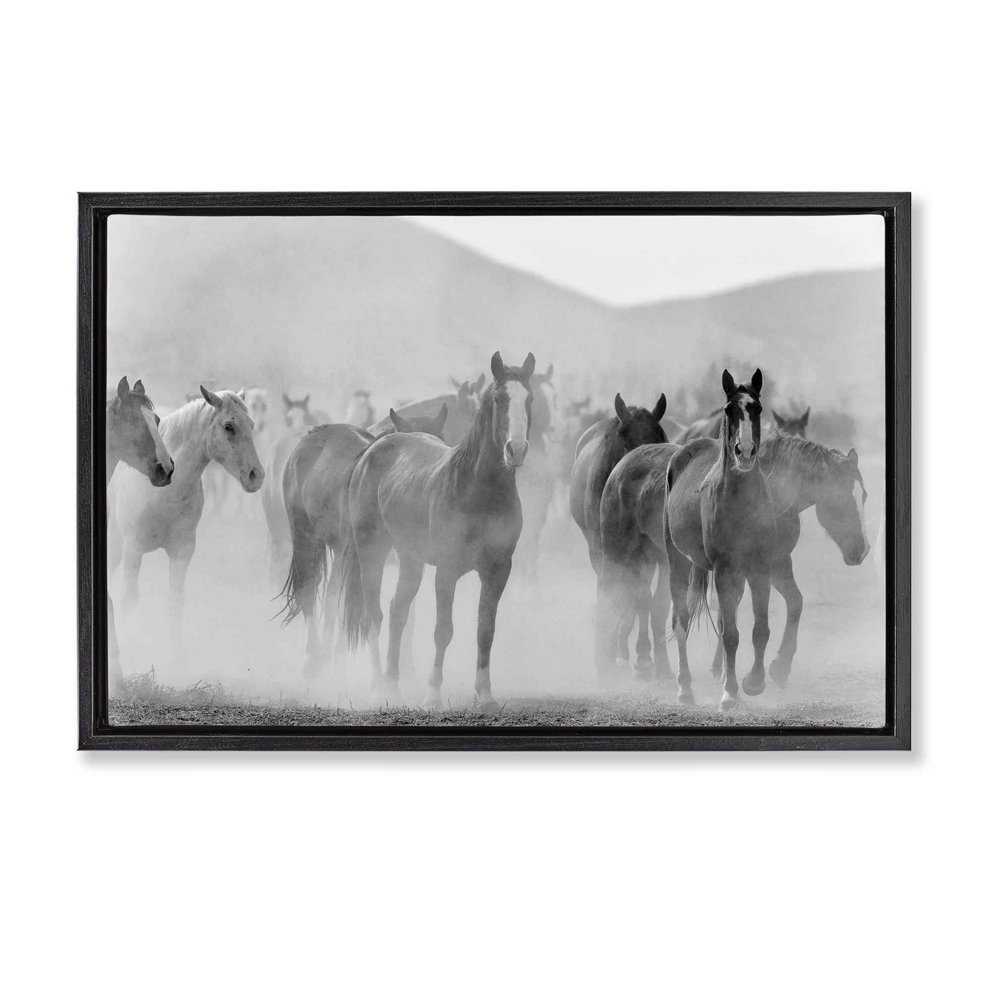 Stupell Industries Running Horse Herd Animals Painting Black Floater Framed Canvas Art Print Wall Art, 31 x 21