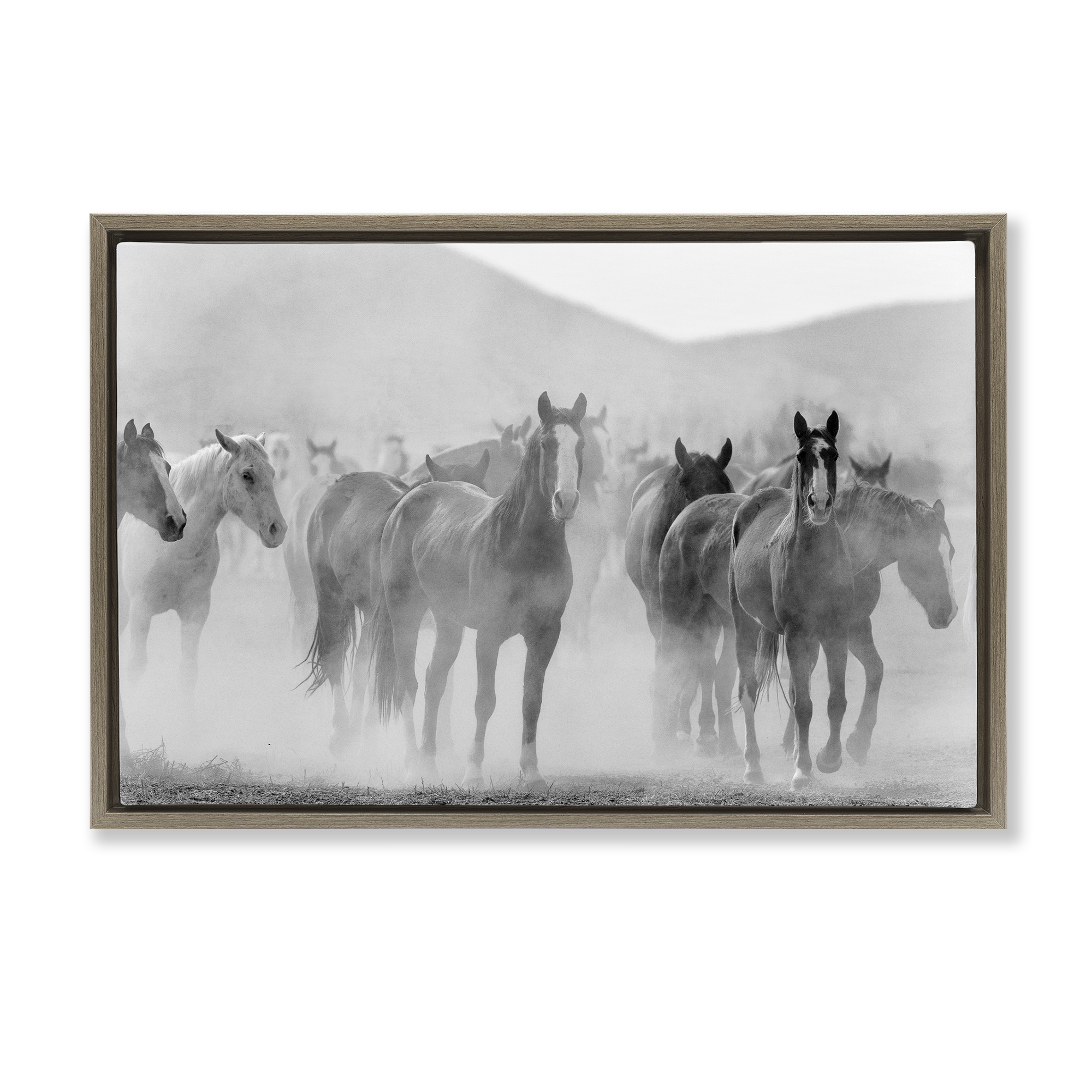 Stupell Industries Running Horse Herd Animals Painting Brown Floater Framed Canvas Art Print Wall Art, 31 x 21