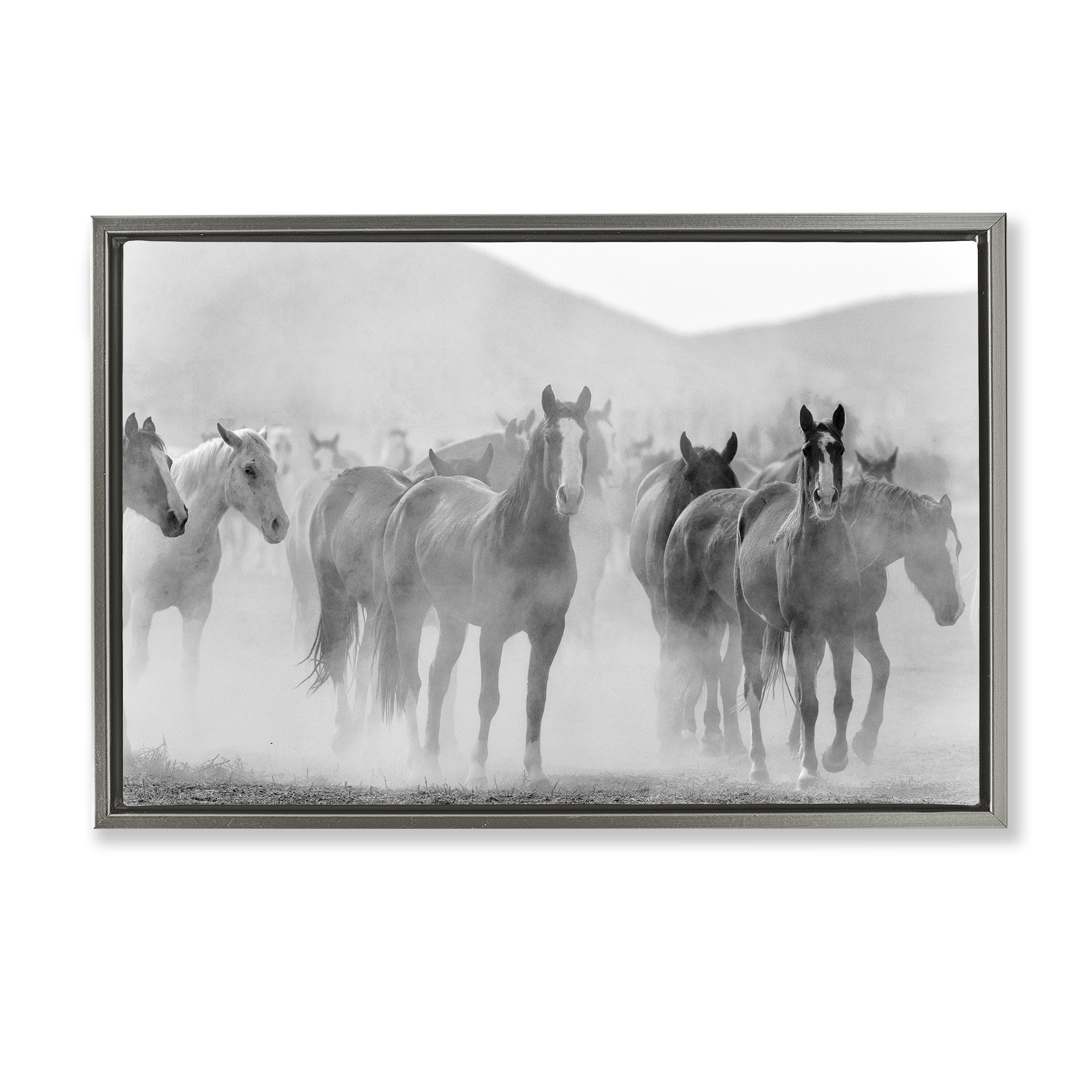 Stupell Industries Running Horse Herd Animals Painting Gray Floater Framed Canvas Art Print Wall Art, 25 x 17