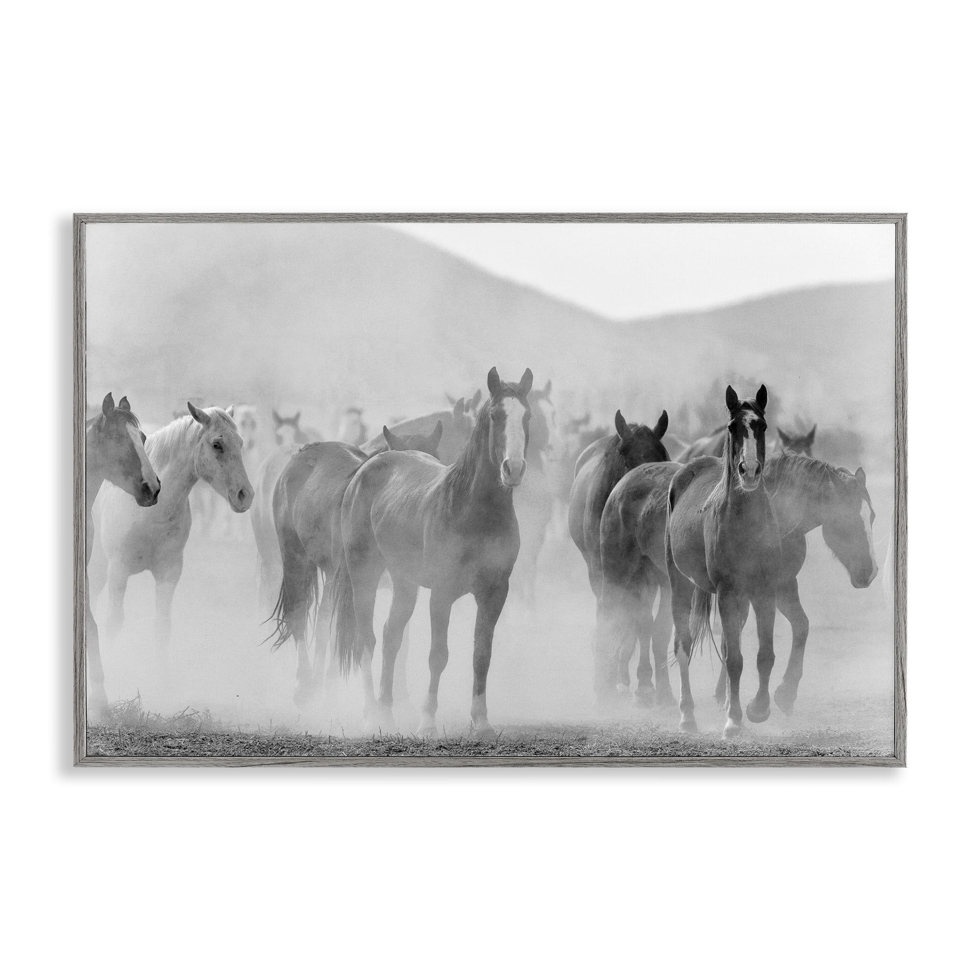 Stupell Industries Running Horse Herd Animals Painting Gray Framed Art Print Wall Art, 24 x 16