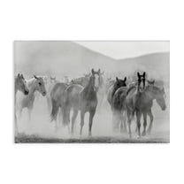 Stupell Industries Running Horse Herd Animals Painting Wrapped Canvas Art Print Wall Art, 24 x 16