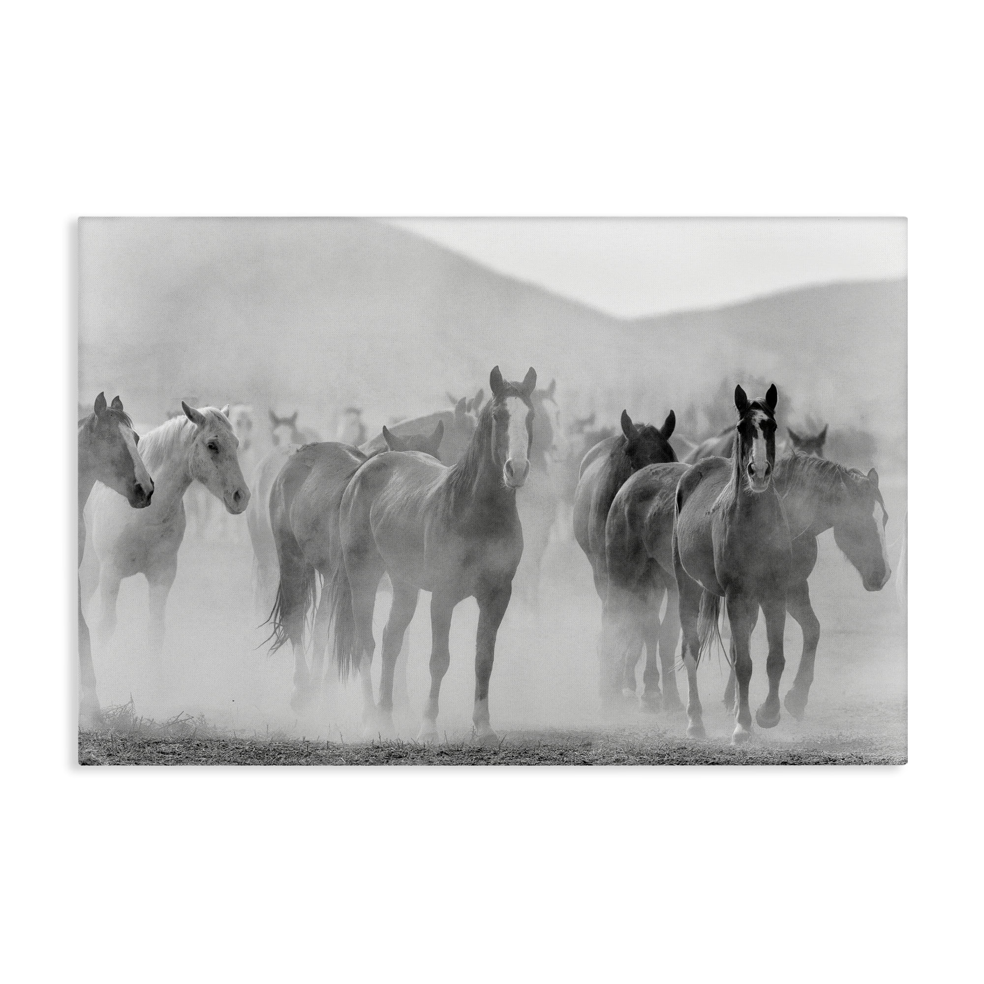 Stupell Industries Running Horse Herd Animals Painting Wrapped Canvas Art Print Wall Art, 30 x 20
