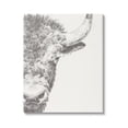 thumbnail image 1 of Stupell Industries Rural Bison Animal Drawing Detailed Graphite Wildlife Drawing Print Gallery Wrapped Canvas Print Wall Art, Design by Ethan Harper, 1 of 7