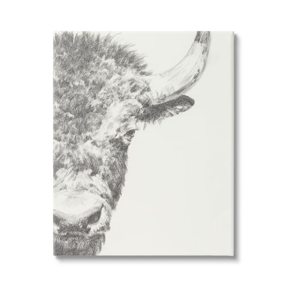 Stupell Industries Rural Bison Animal Drawing Detailed Graphite Wildlife Drawing Print Gallery Wrapped Canvas Print Wall Art, Design by Ethan Harper