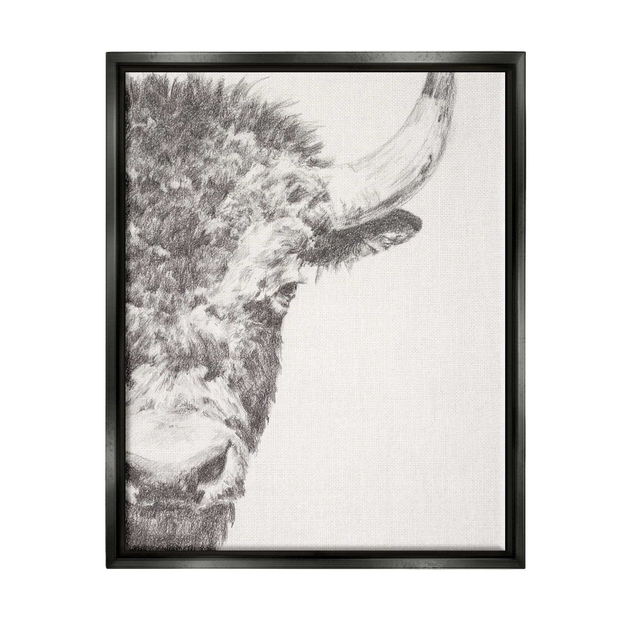 Stupell Industries Rural Bison Animal Drawing Detailed Graphite Wildlife Drawing Print Jet Black Floating Framed Canvas Print Wall Art, Design by Ethan Harper