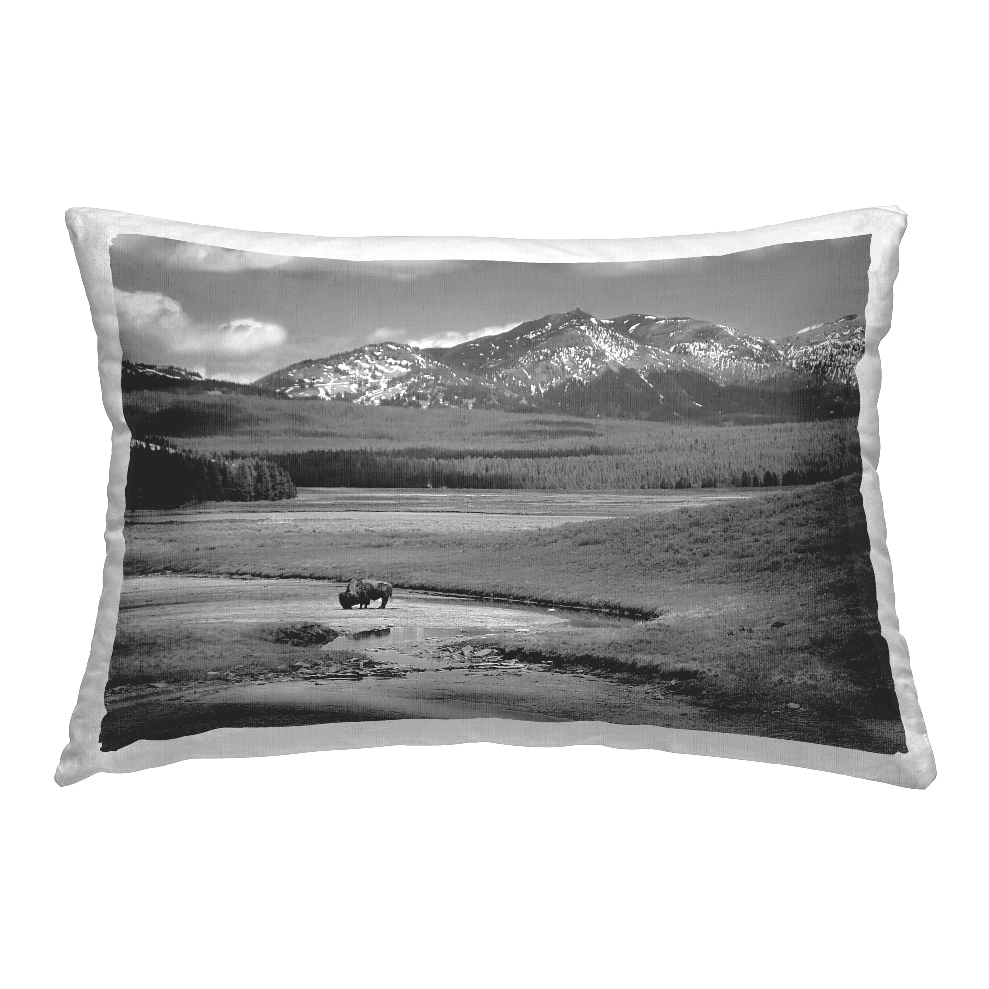 Stupell Industries Rural Country Bison Decorative Printed Throw Pillow, 14 x 20