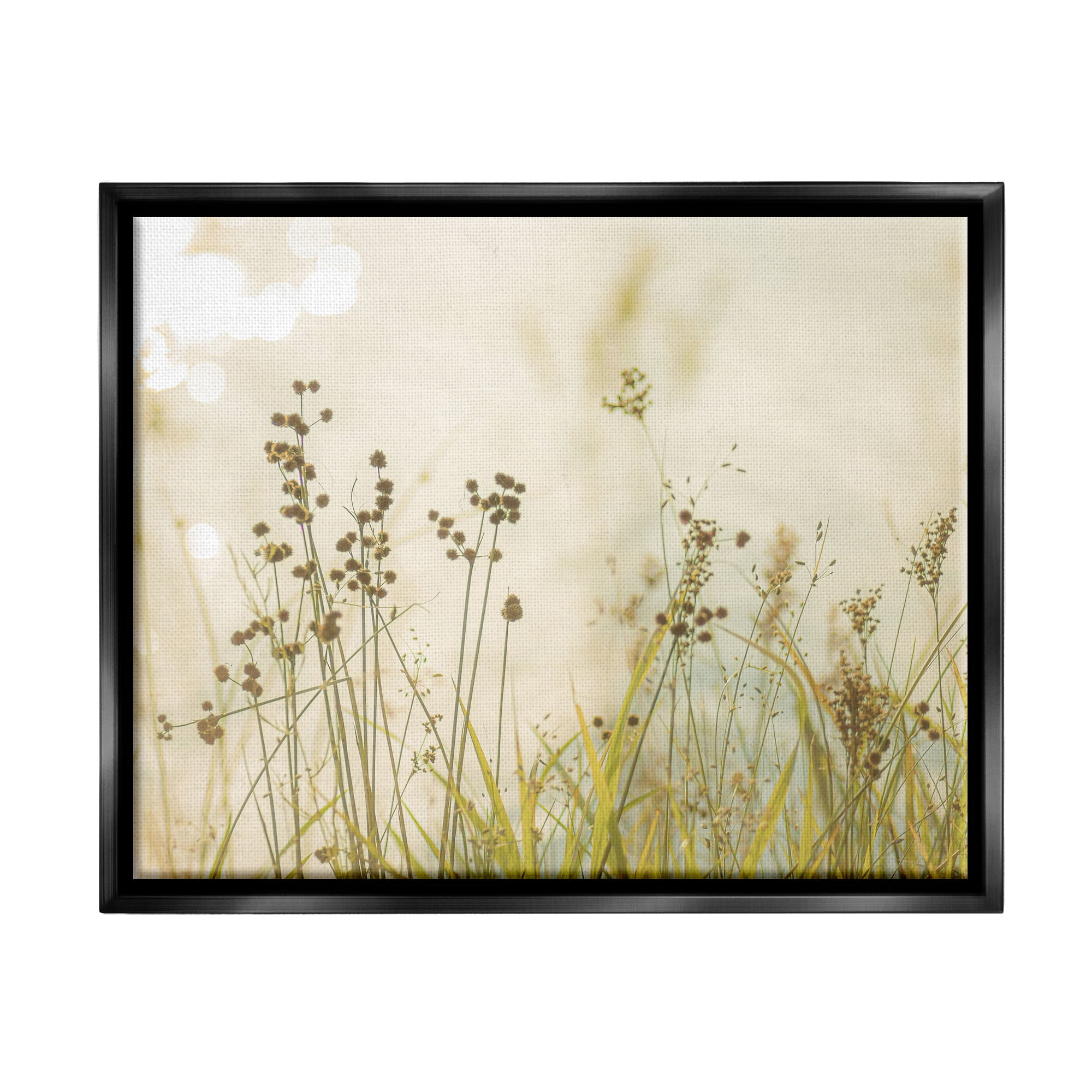 Stupell Industries Rural Country Grasses Botanical & Floral Photography Black Floater Framed Art Print Wall Art, 31 x 25