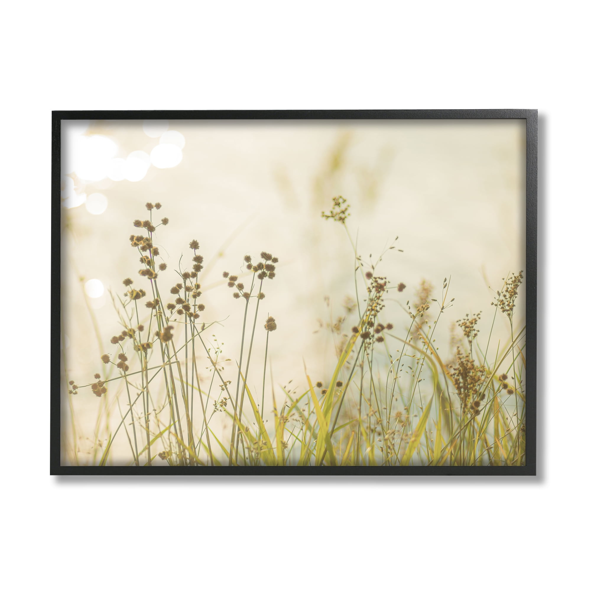 Stupell Industries Rural Country Grasses Botanical & Floral Photography Black Framed Art Print Wall Art, 30 x 24