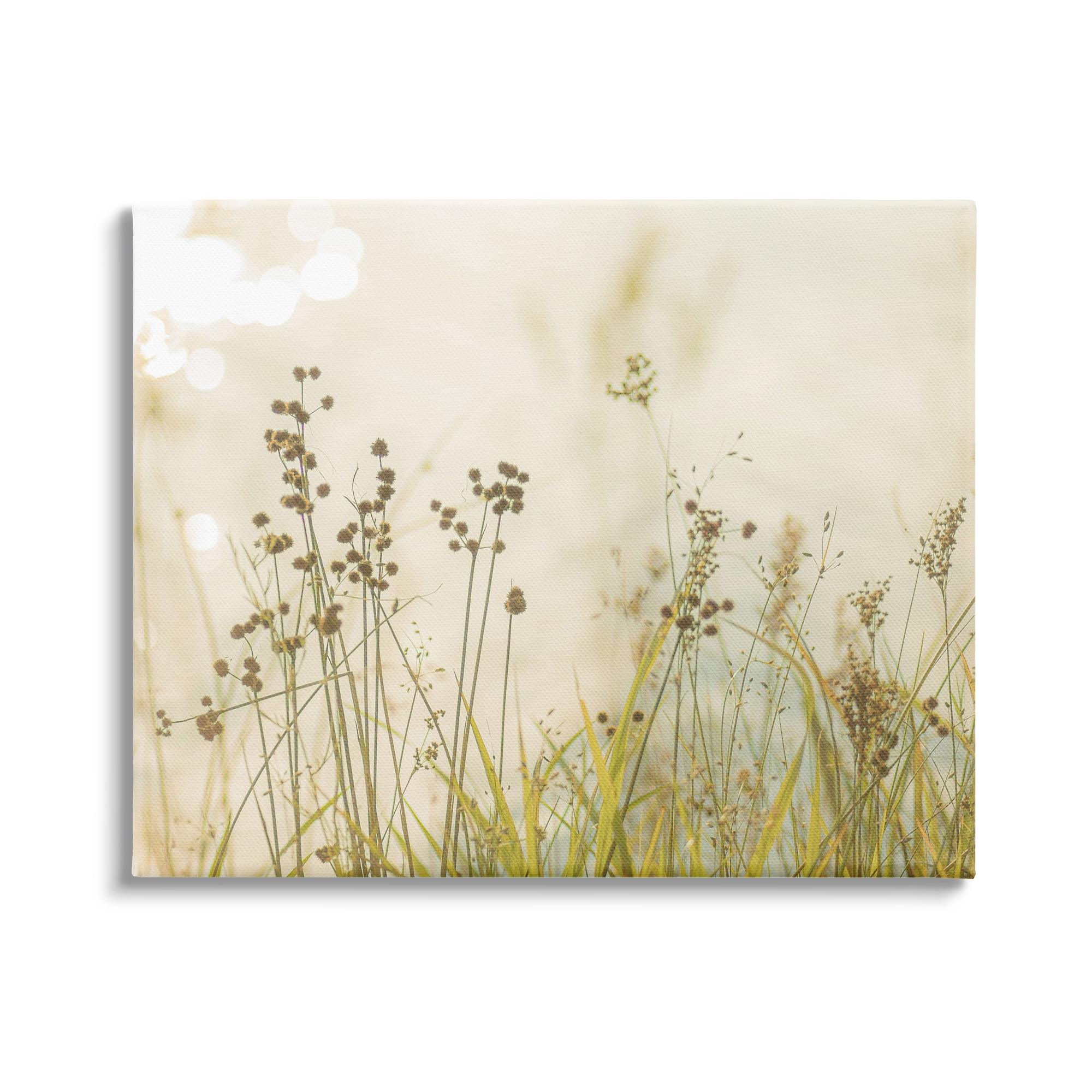 Stupell Industries Rural Country Grasses Botanical & Floral Photography Gallery Wrapped Canvas Print Wall Art, 40 x 30