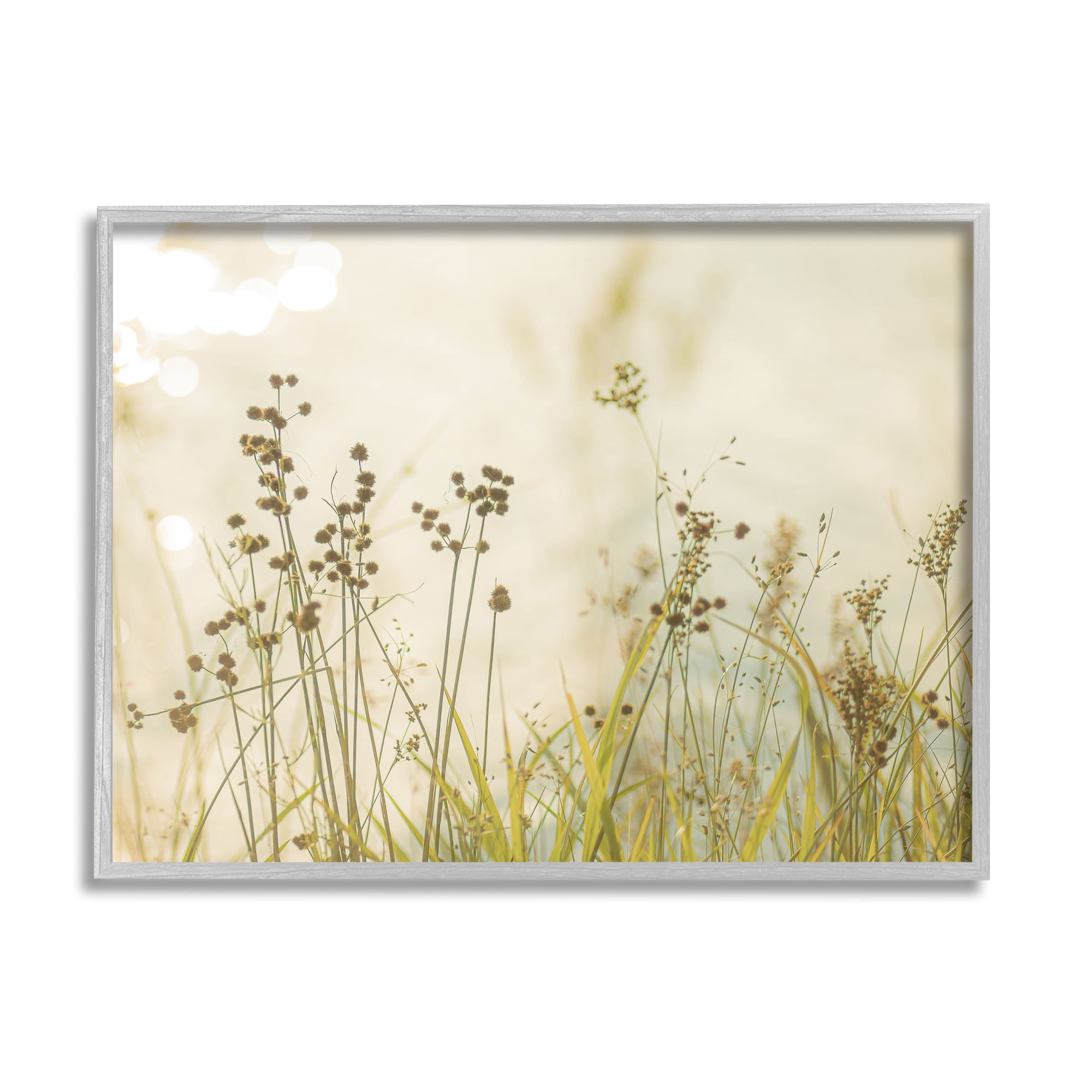 Stupell Industries Rural Country Grasses Botanical & Floral Photography Gray Framed Art Print Wall Art, 14 x 11