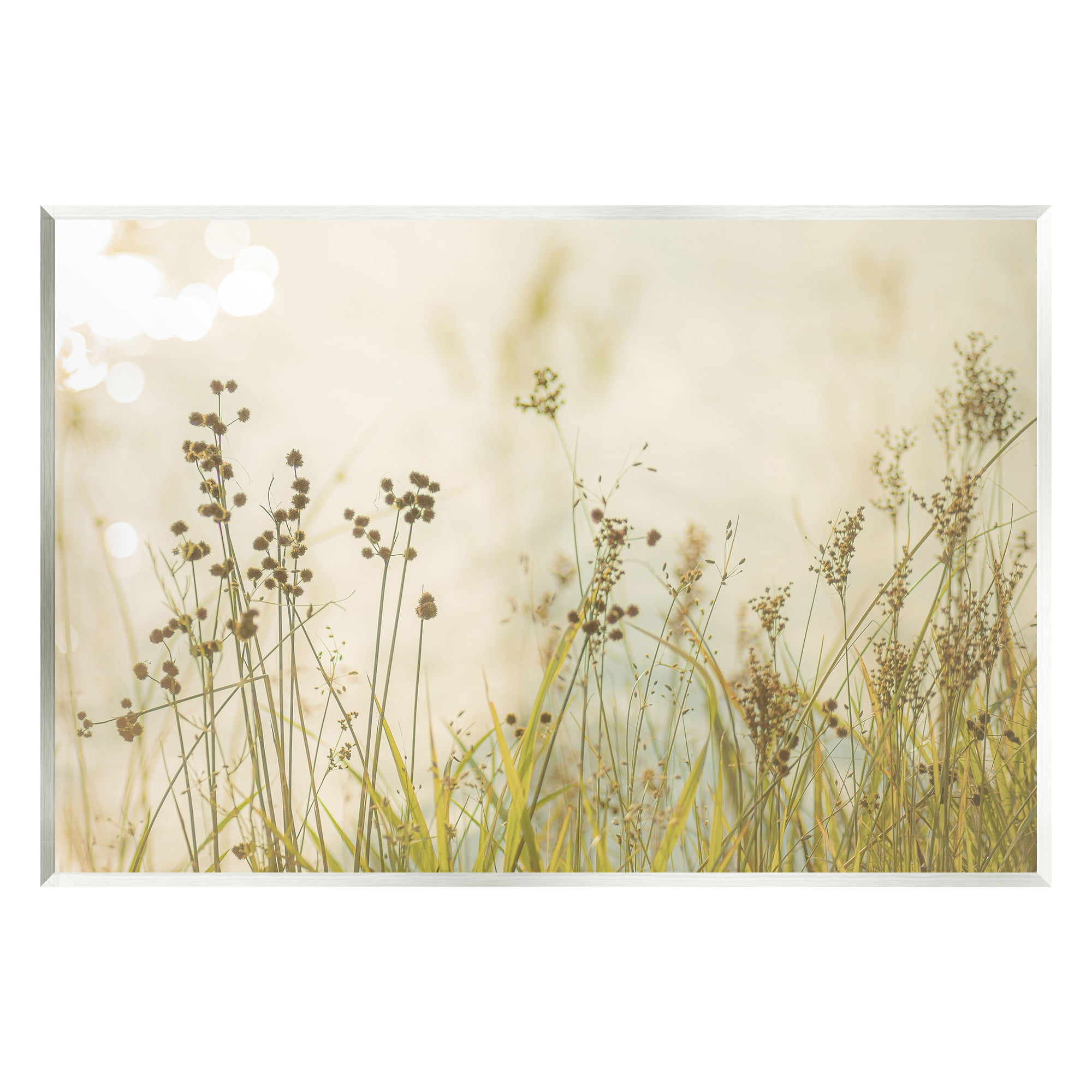Stupell Industries Rural Country Grasses Botanical & Floral Photography Unframed Art Print Wall Art, 19 x 13