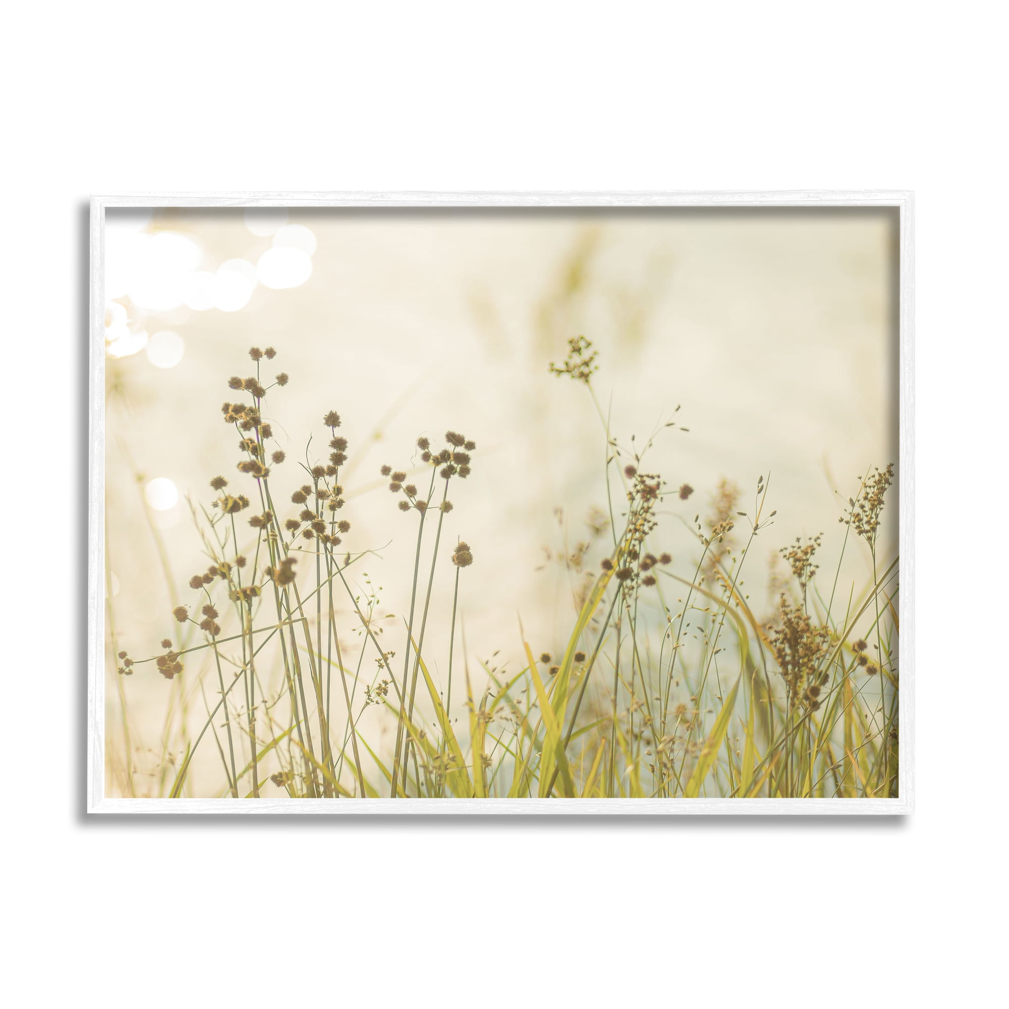 Stupell Industries Rural Country Grasses Botanical & Floral Photography White Framed Art Print Wall Art, 20 x 16