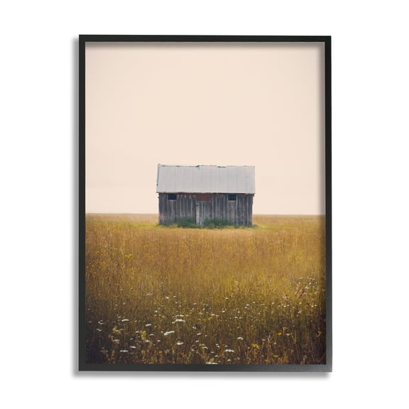 Stupell Industries Rural Countryside Shack Nature Photography Black Framed Art Print Wall Art, 24 x 30