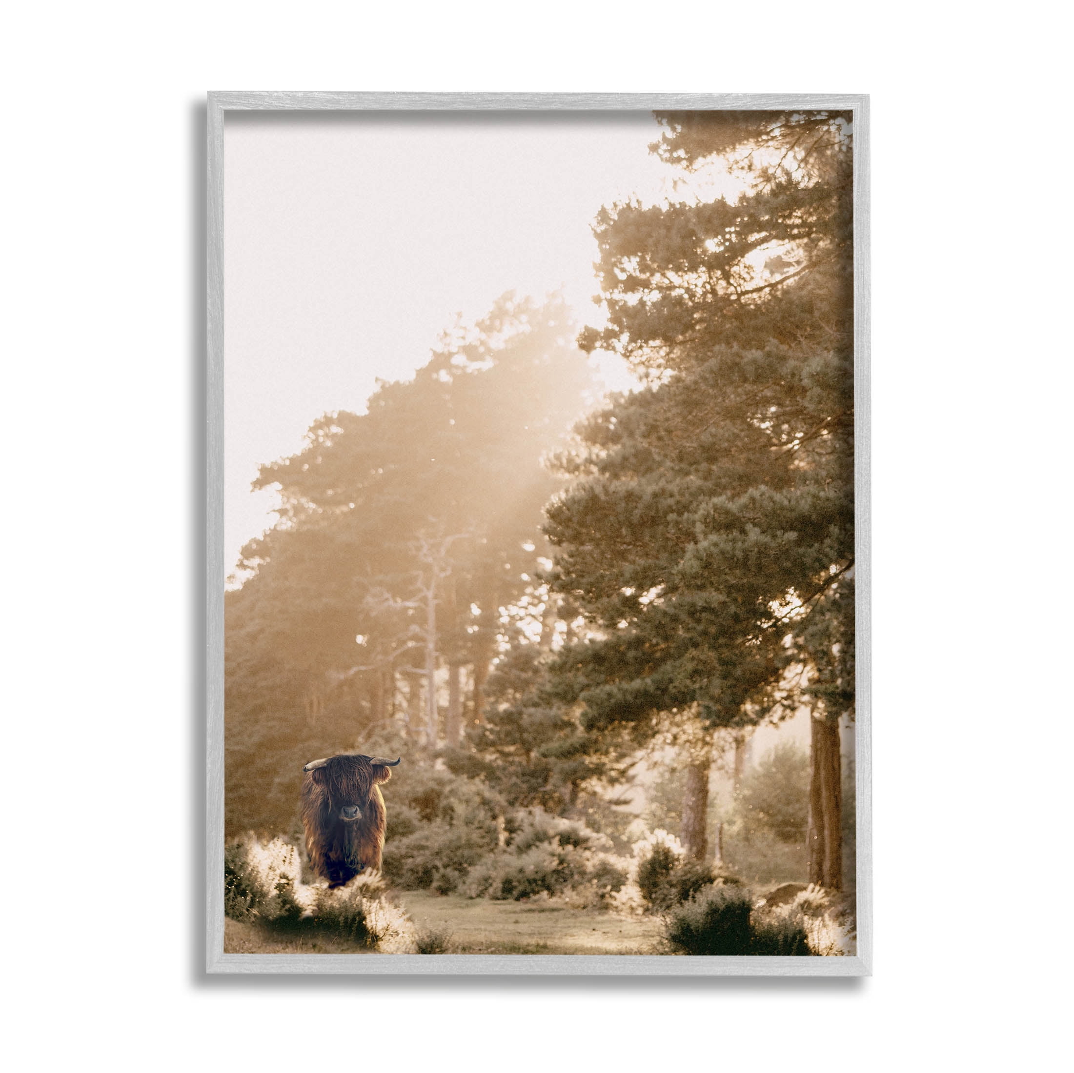 Stupell Industries Rural County Cattle Field Sunlit Rays Photograph Gray Framed Art Print Wall Art, Design by Leah Straatsma