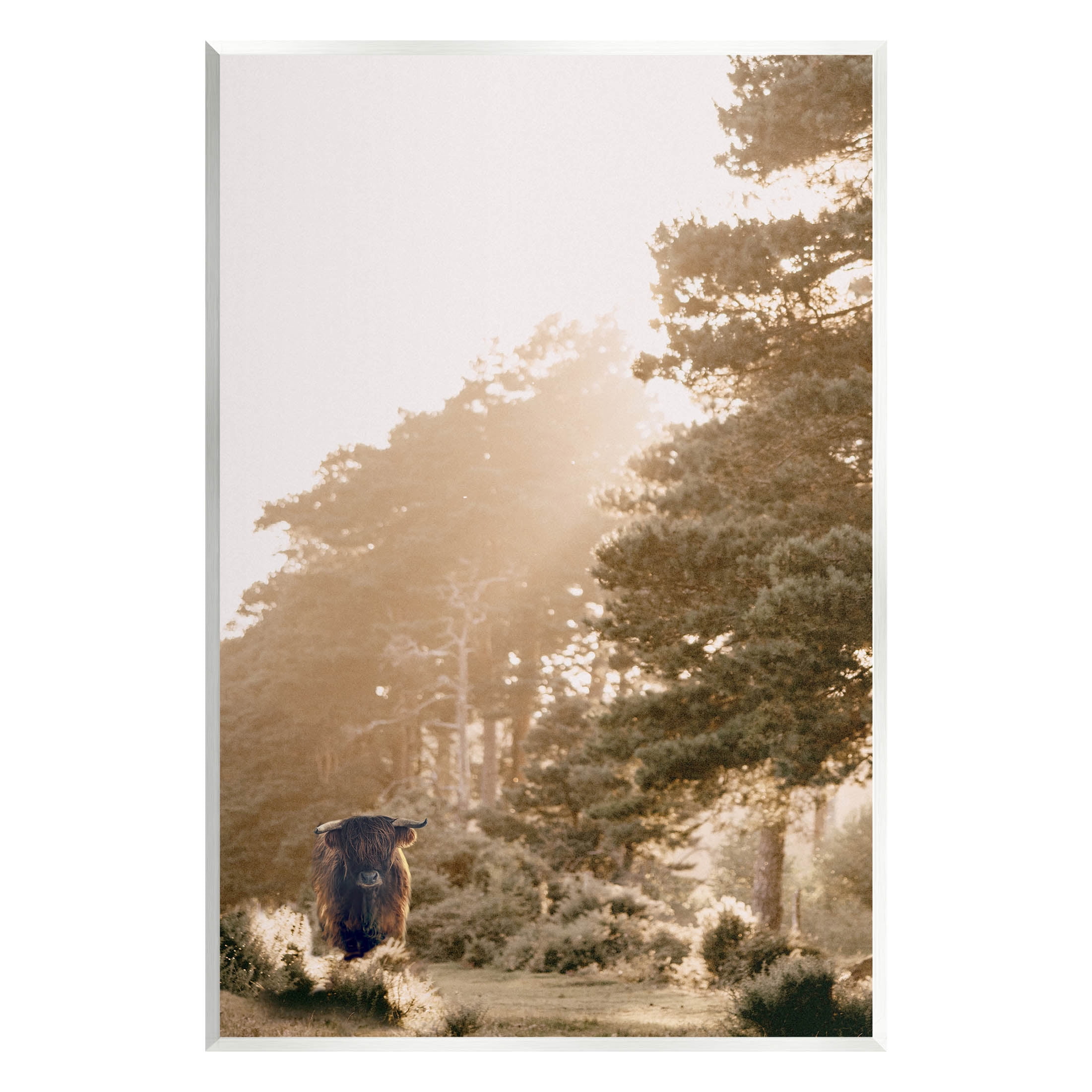 Stupell Industries Rural County Cattle Field Sunlit Rays Photograph Unframed Art Print Wall Art, Design by Leah Straatsma