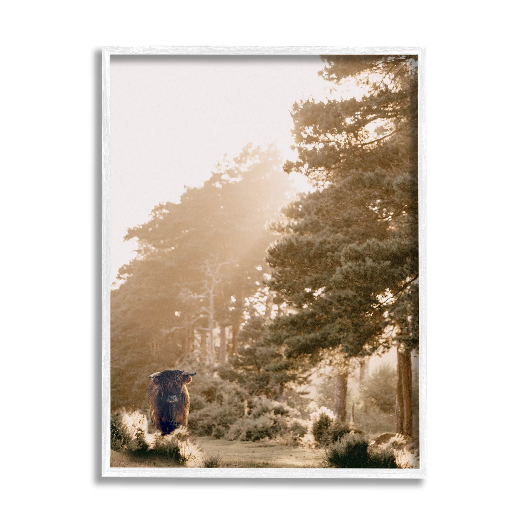 Stupell Industries Rural County Cattle Field Sunlit Rays Photograph White Framed Art Print Wall Art, Design by Leah Straatsma