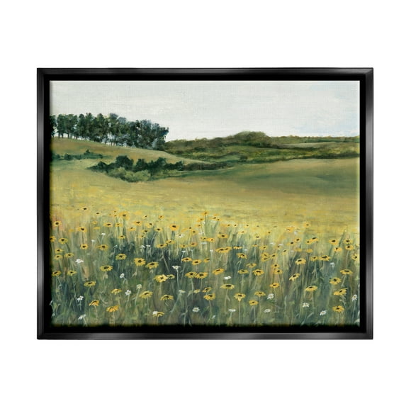 Stupell Industries Rural Daisy Meadow Nature Painting Black Floater Framed Art Print Wall Art, 21 x 17