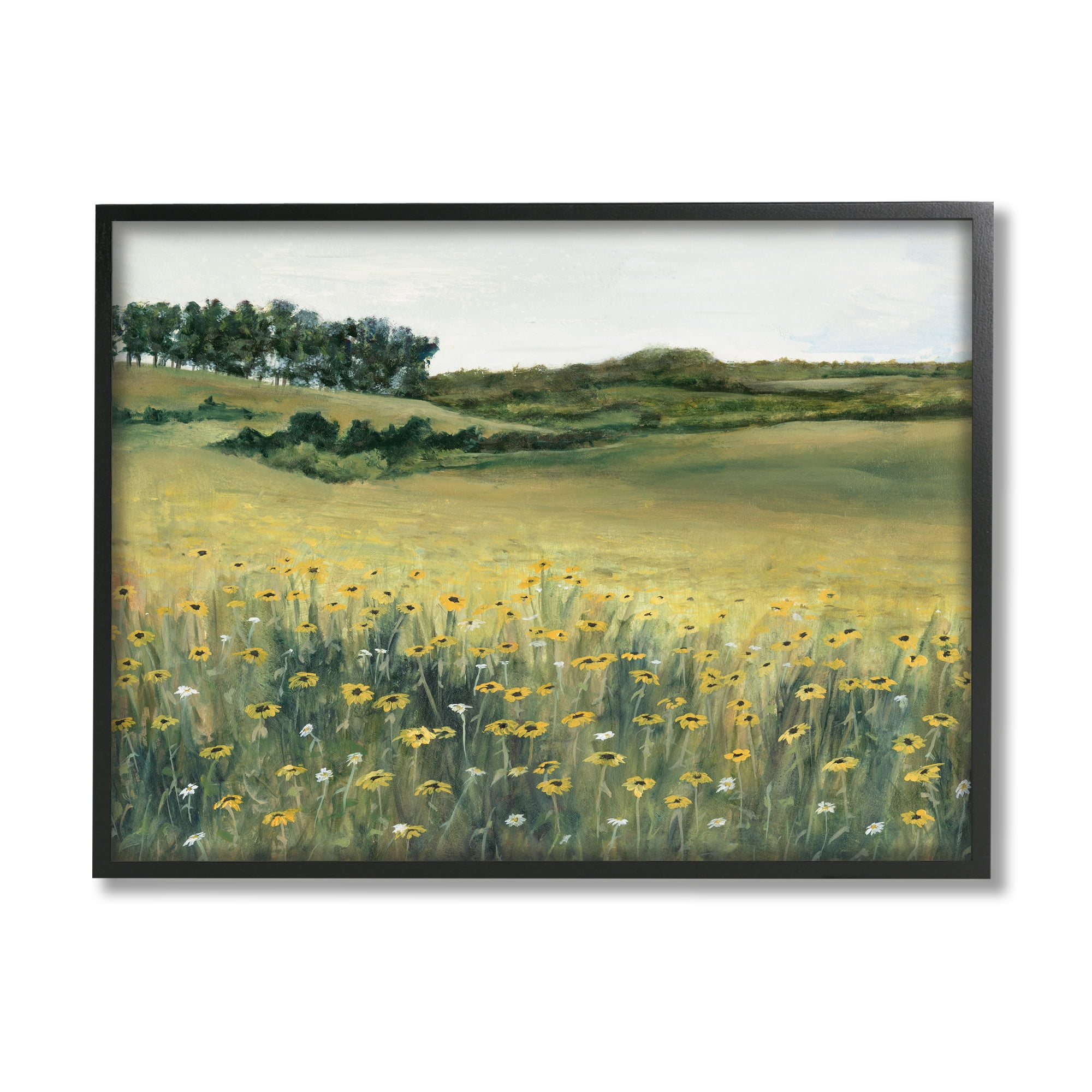 Stupell Industries Rural Daisy Meadow Nature Painting Black Framed Art Print Wall Art, 20 x 16