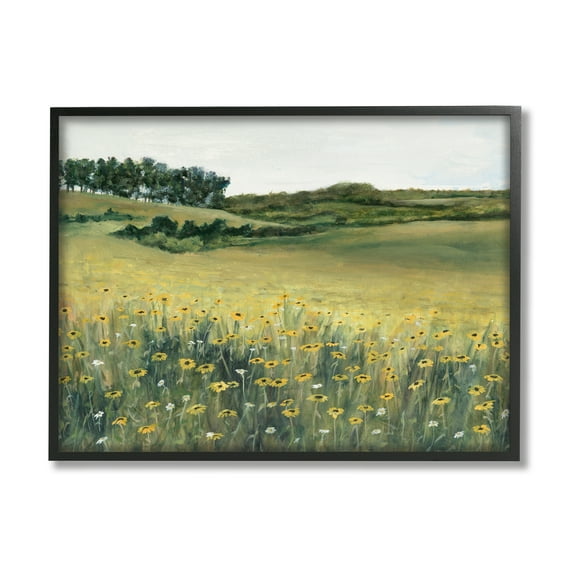 Stupell Industries Rural Daisy Meadow Nature Painting Black Framed Art Print Wall Art, 30 x 24