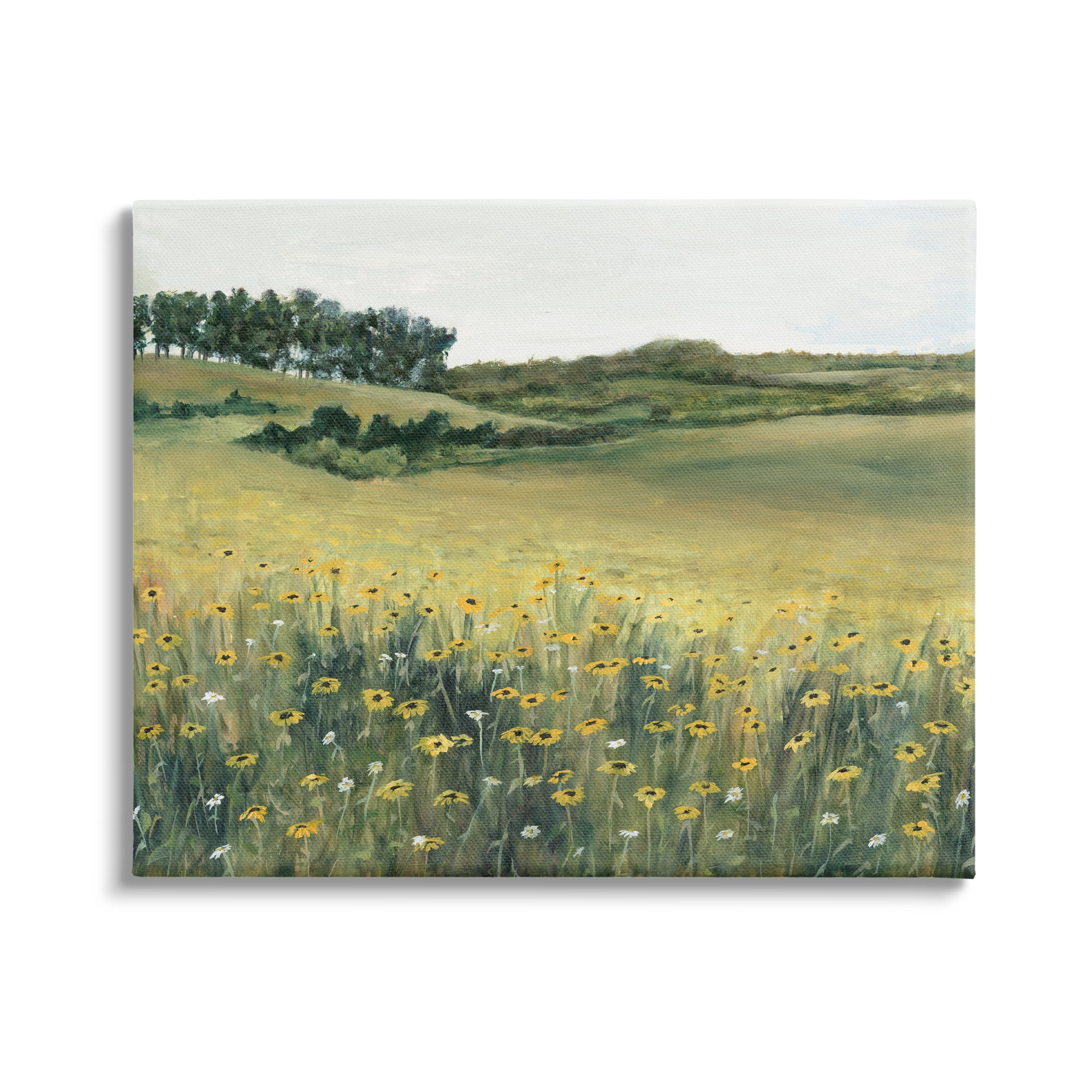 Stupell Industries Rural Daisy Meadow Nature Painting Gallery Wrapped Canvas Print Wall Art, 40 x 30