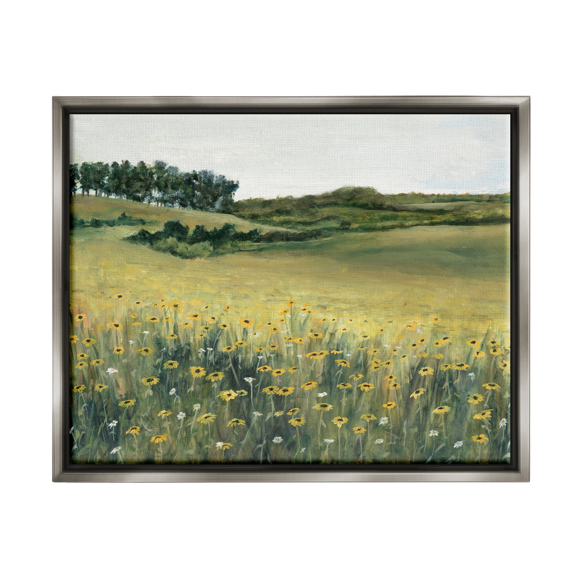 Stupell Industries Rural Daisy Meadow Nature Painting Gray Floater Framed Art Print Wall Art, 21 x 17