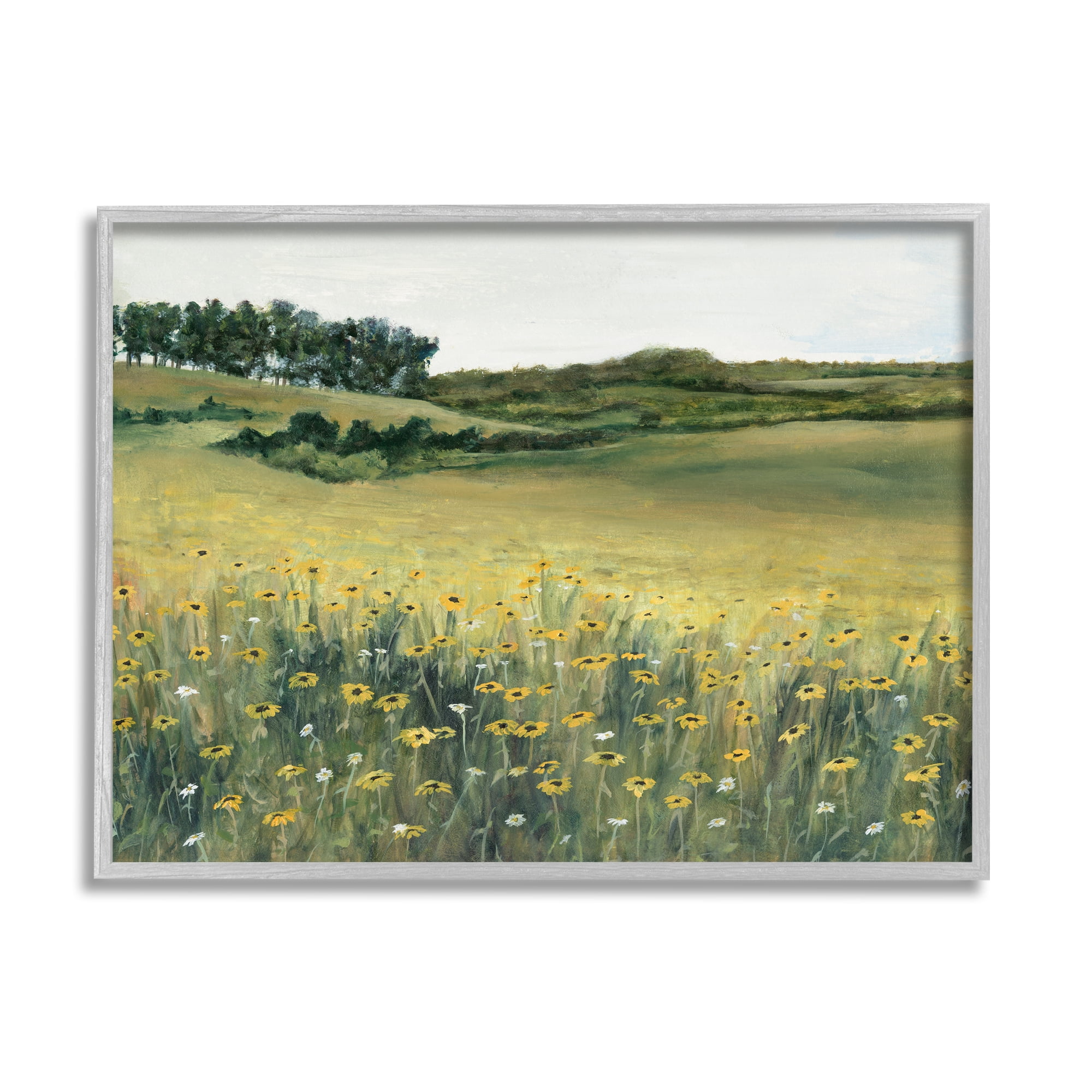 Stupell Industries Rural Daisy Meadow Nature Painting Gray Framed Art Print Wall Art, 14 x 11