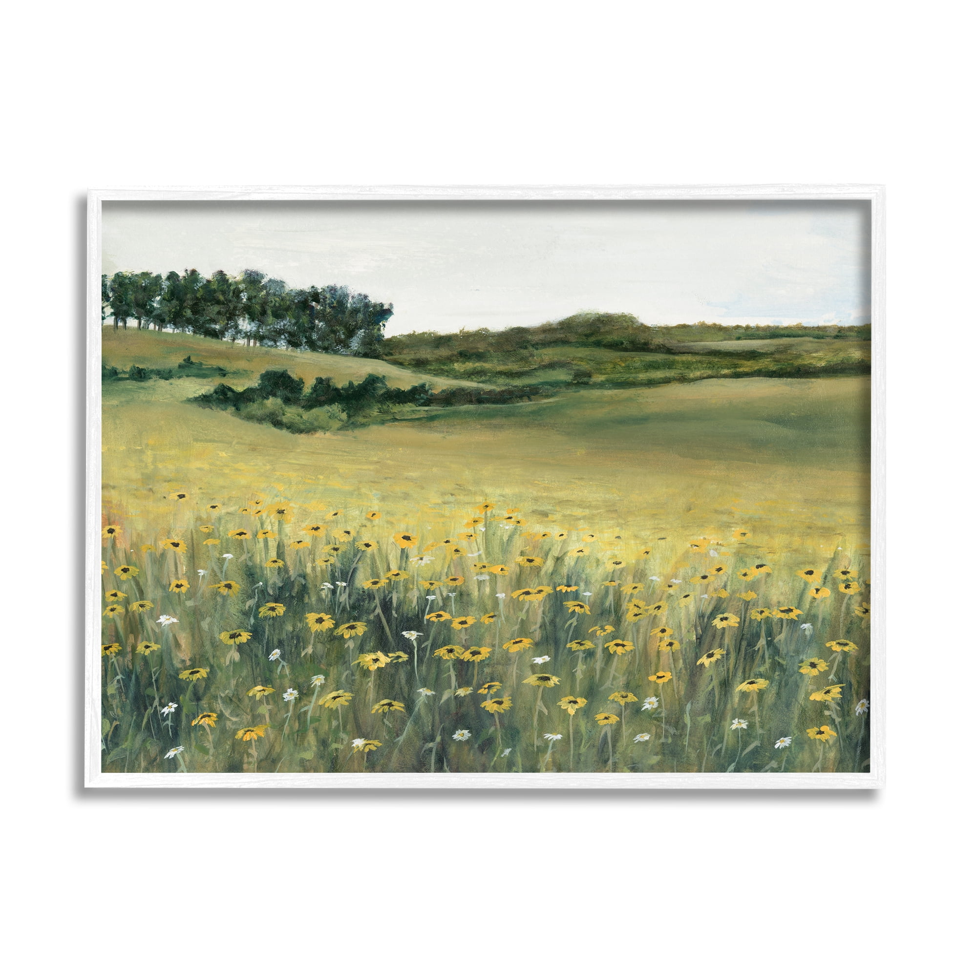 Stupell Industries Rural Daisy Meadow Nature Painting White Framed Art Print Wall Art, 14 x 11