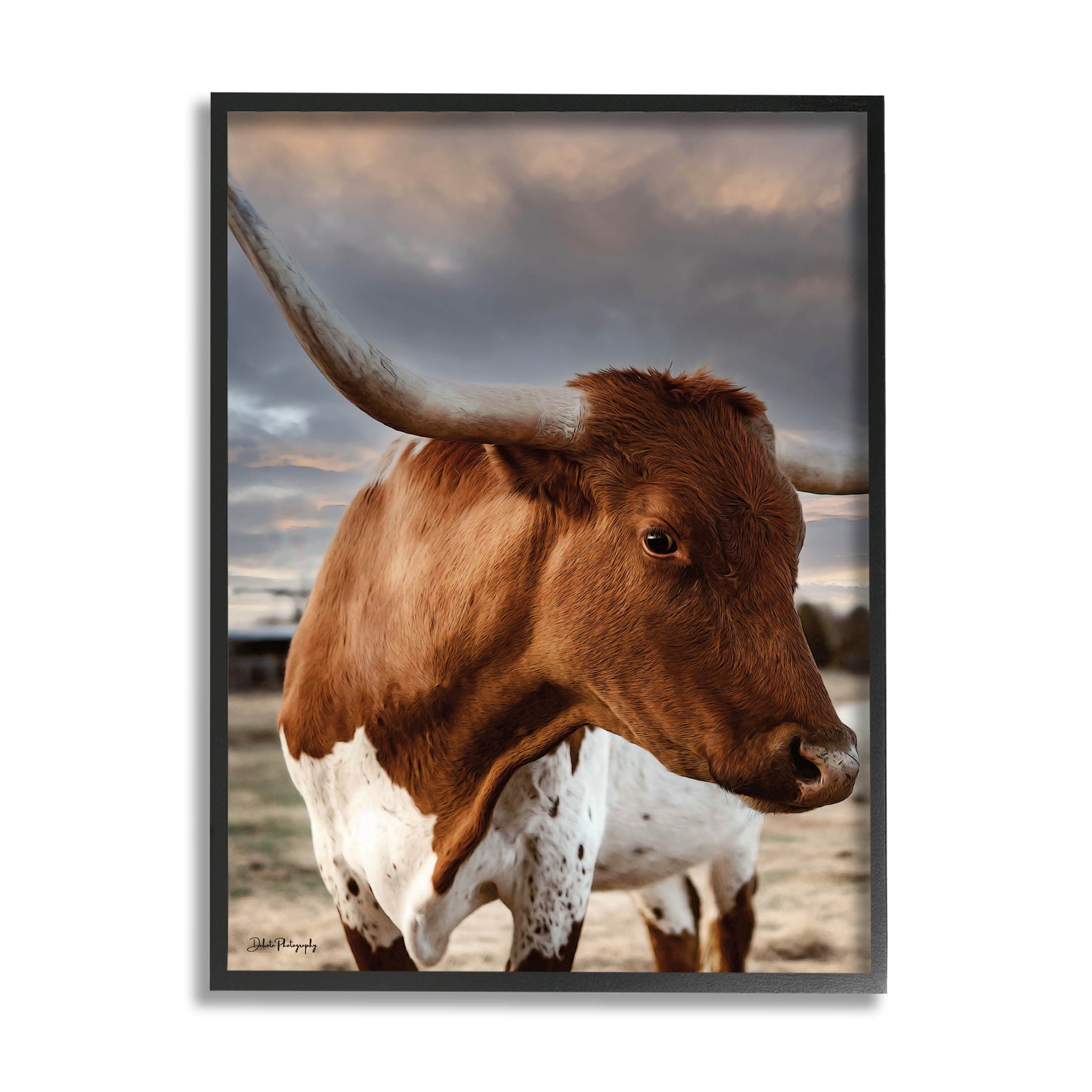 Stupell Industries Rural Farm Cattle Cloudy Ranch Sky Photograph Black Framed Art Print Wall Art, Design by Dakota Diener