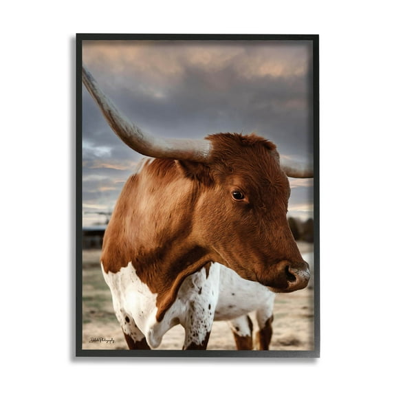 Stupell Industries Rural Farm Cattle Cloudy Ranch Sky Photograph Black Framed Art Print Wall Art, Design by Dakota Diener