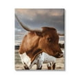 thumbnail image 1 of Stupell Industries Rural Farm Cattle Cloudy Ranch Sky Photograph Gallery Wrapped Canvas Print Wall Art, Design by Dakota Diener, 1 of 7