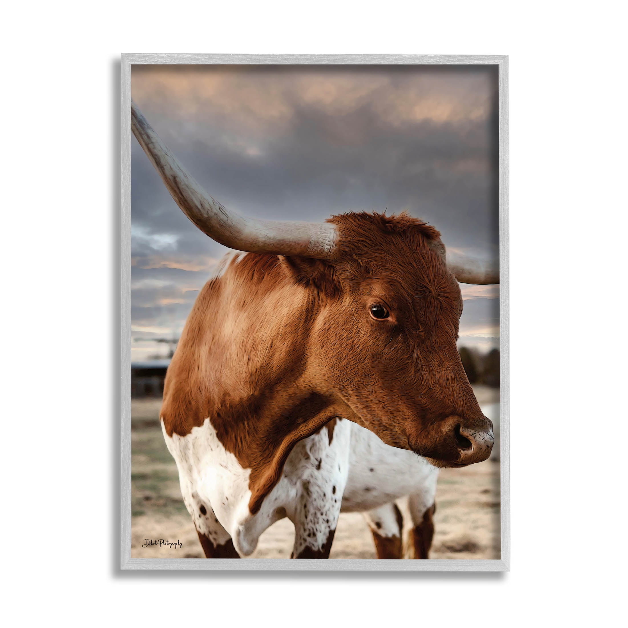 Stupell Industries Rural Farm Cattle Cloudy Ranch Sky Photograph Gray Framed Art Print Wall Art, Design by Dakota Diener