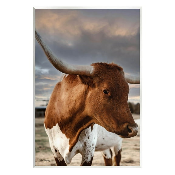 Stupell Industries Rural Farm Cattle Cloudy Ranch Sky Photograph Unframed Art Print Wall Art, Design by Dakota Diener
