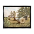 thumbnail image 1 of Stupell Industries Rural Hay Bales Farm Landscape Landscape Painting Black Floater Framed Art Print Wall Art, 1 of 6