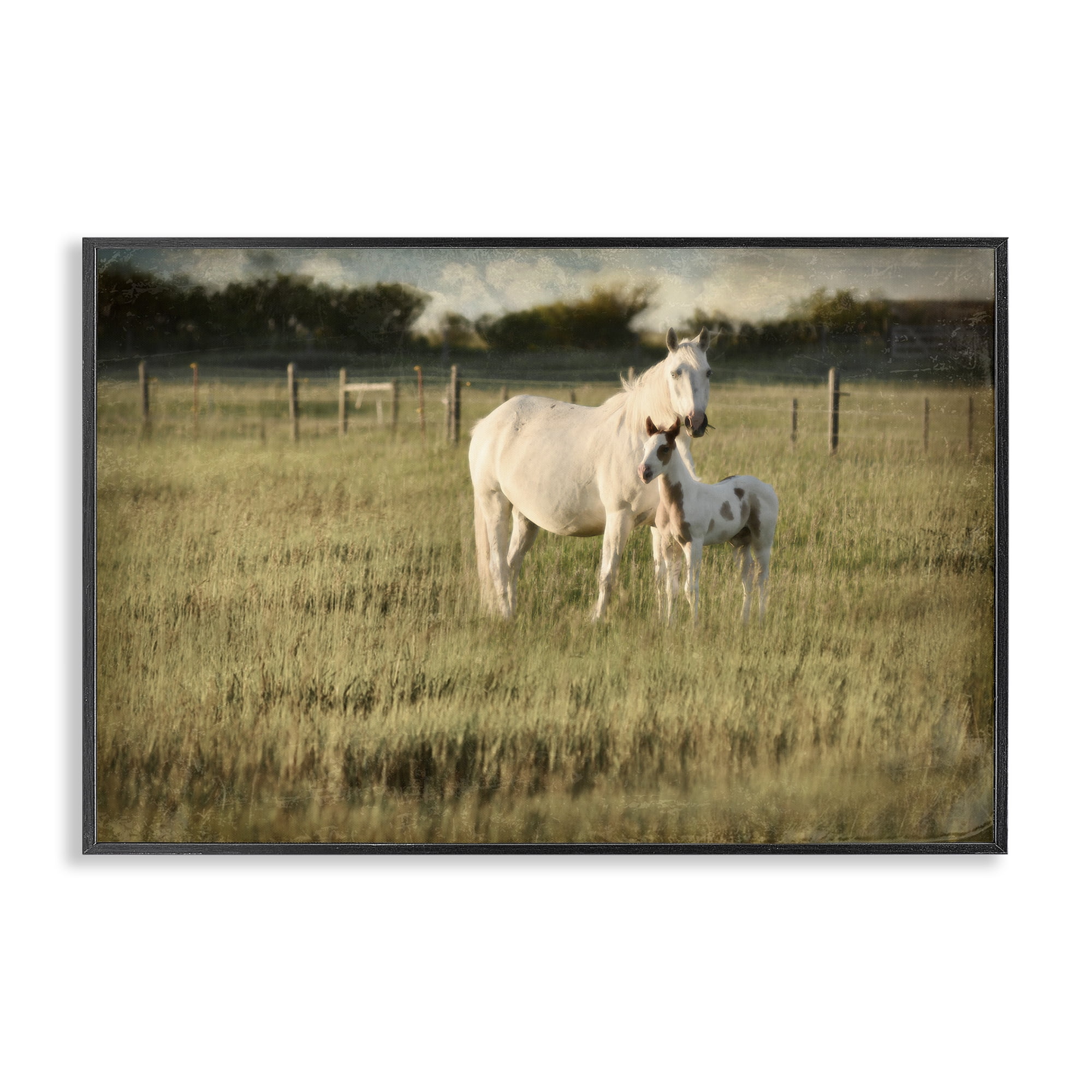 Stupell Industries Rural Horse and Foal Landscape Photography Black Framed Art Print Wall Art, 30 x 20