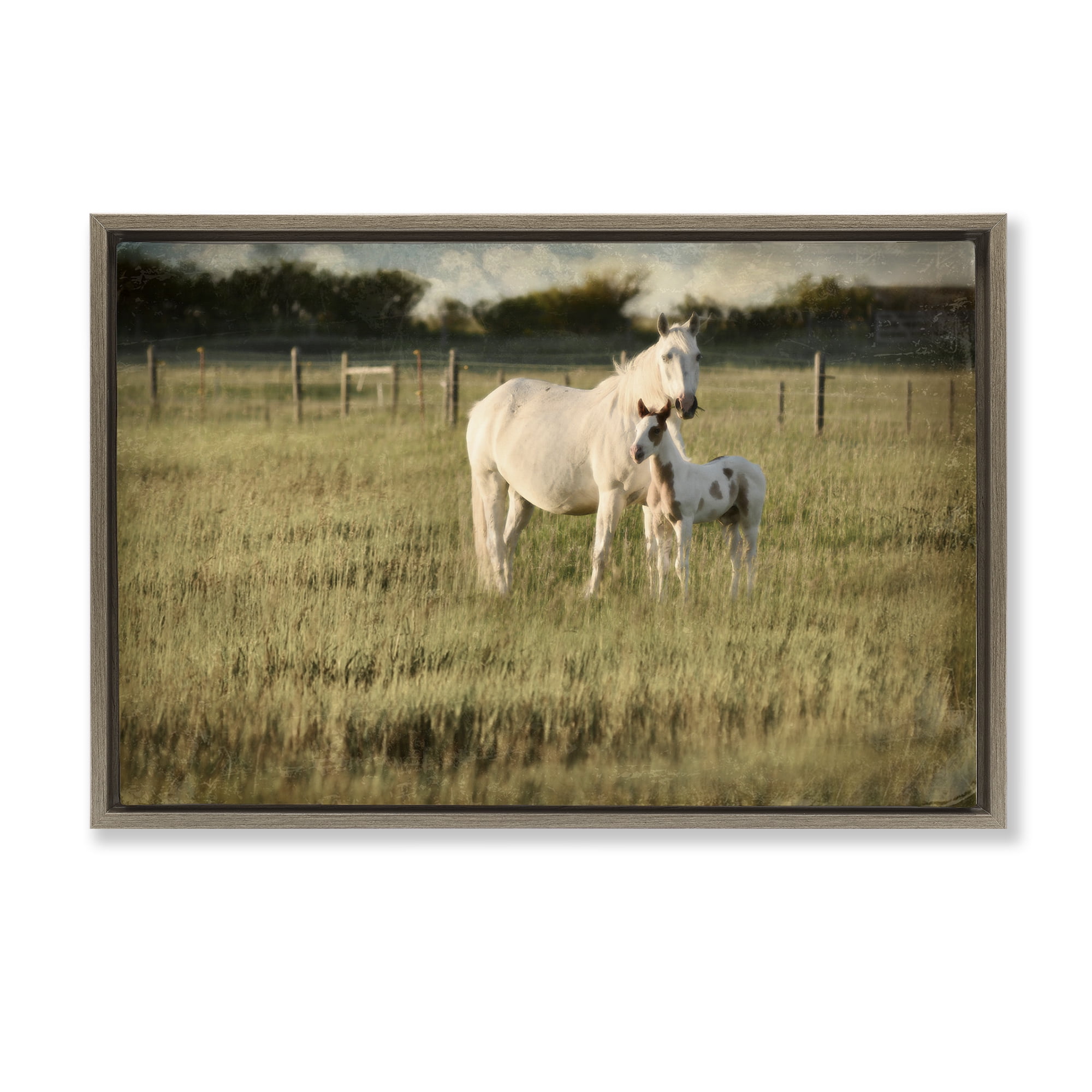 Stupell Industries Rural Horse and Foal Landscape Photography Brown Floater Framed Canvas Art Print Wall Art, 31 x 21