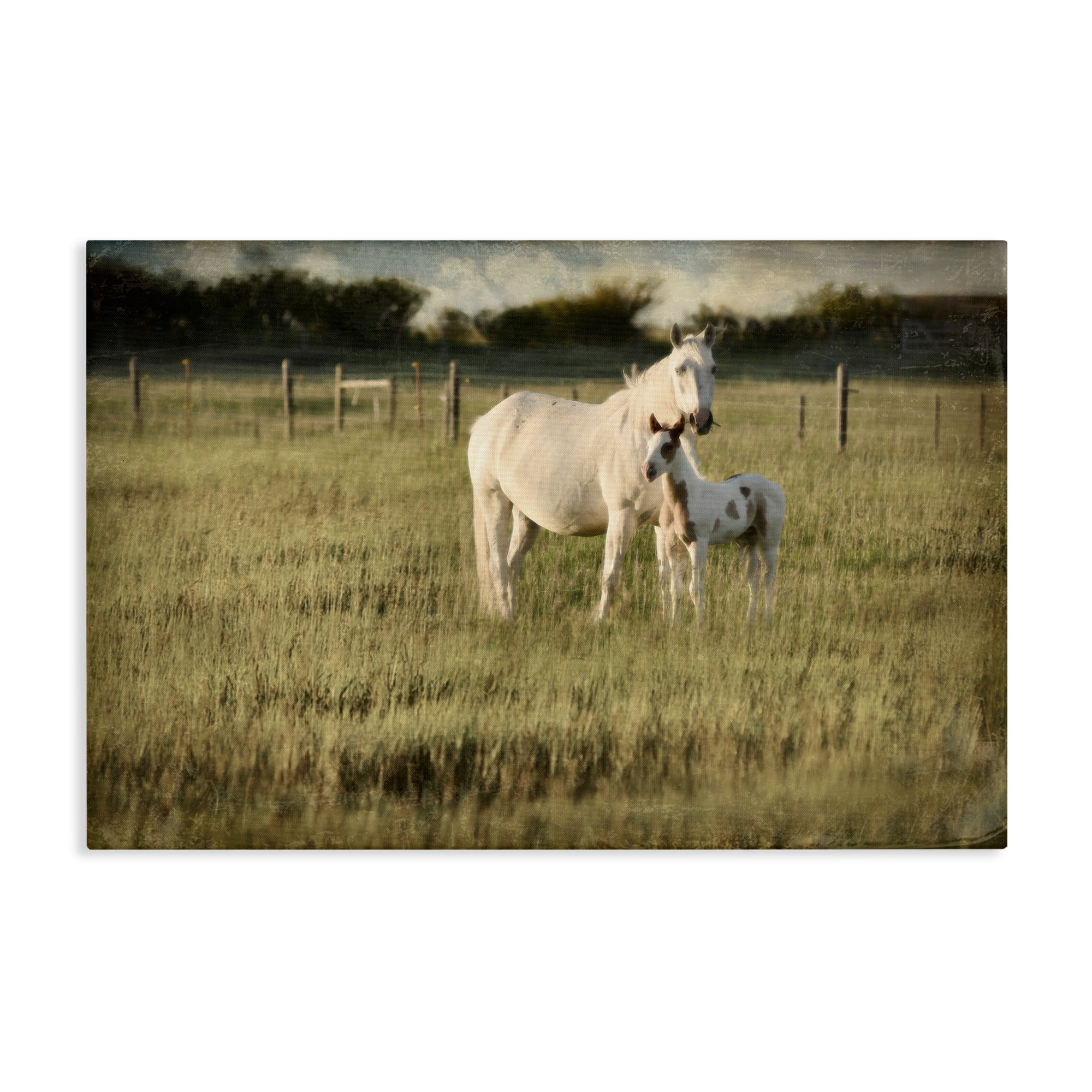 Stupell Industries Rural Horse and Foal Landscape Photography Gallery Wrapped Canvas Art Print Wall Art, 24 x 16