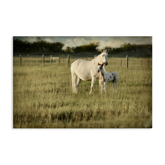 Stupell Industries Rural Horse and Foal Landscape Photography Gallery Wrapped Canvas Art Print Wall Art, 24 x 16