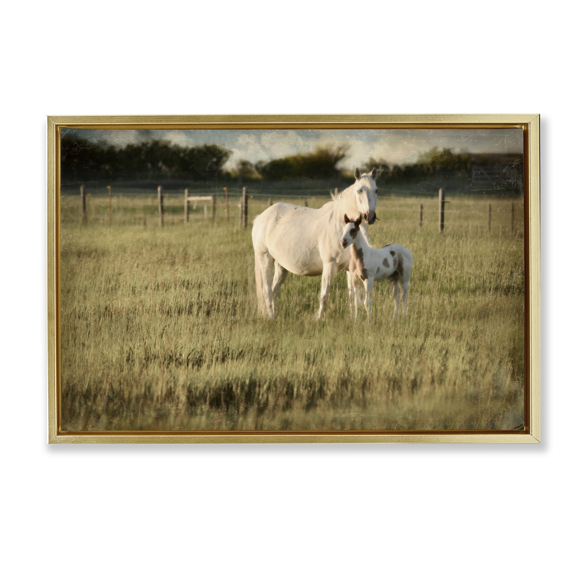 Stupell Industries Rural Horse and Foal Landscape Photography Gold Floater Framed Canvas Art Print Wall Art, 25 x 17
