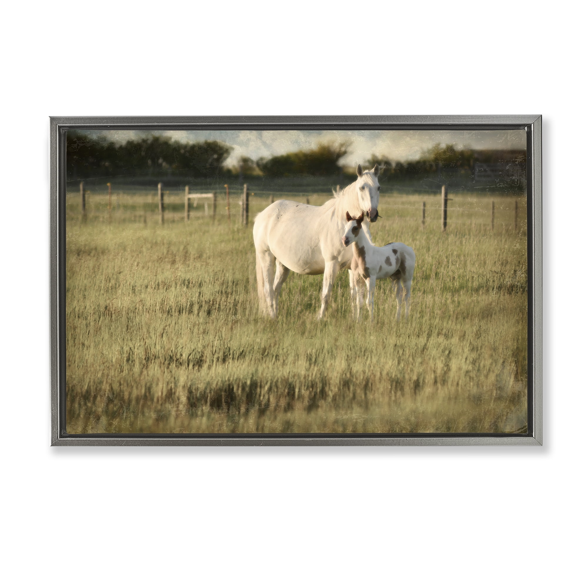 Stupell Industries Rural Horse and Foal Landscape Photography Gray Floater Framed Canvas Art Print Wall Art, 25 x 17