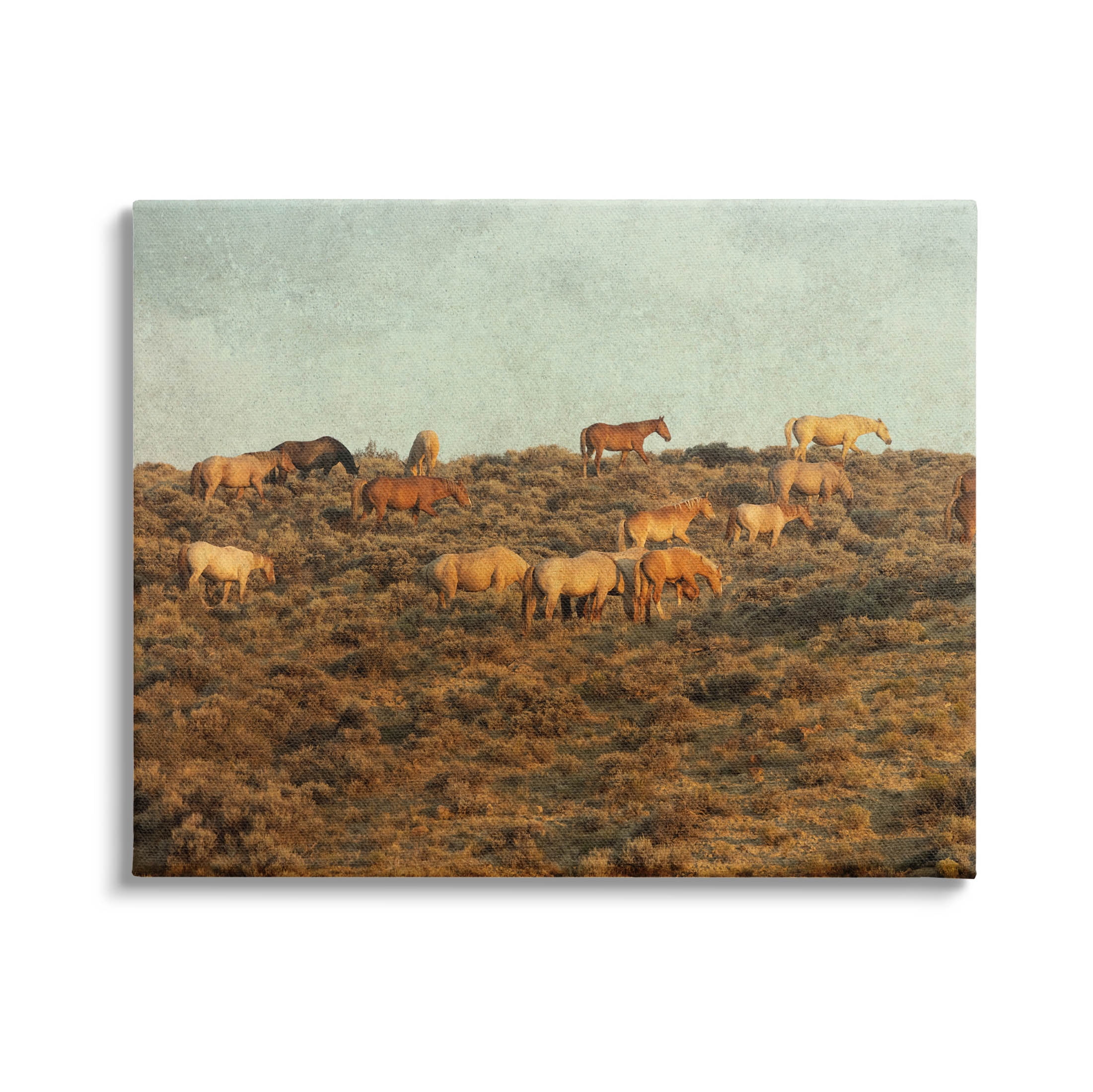 Stupell Industries Rural Horses Grazing Photograph Gallery Wrapped Canvas Print Wall Art, Design by Jan Walters