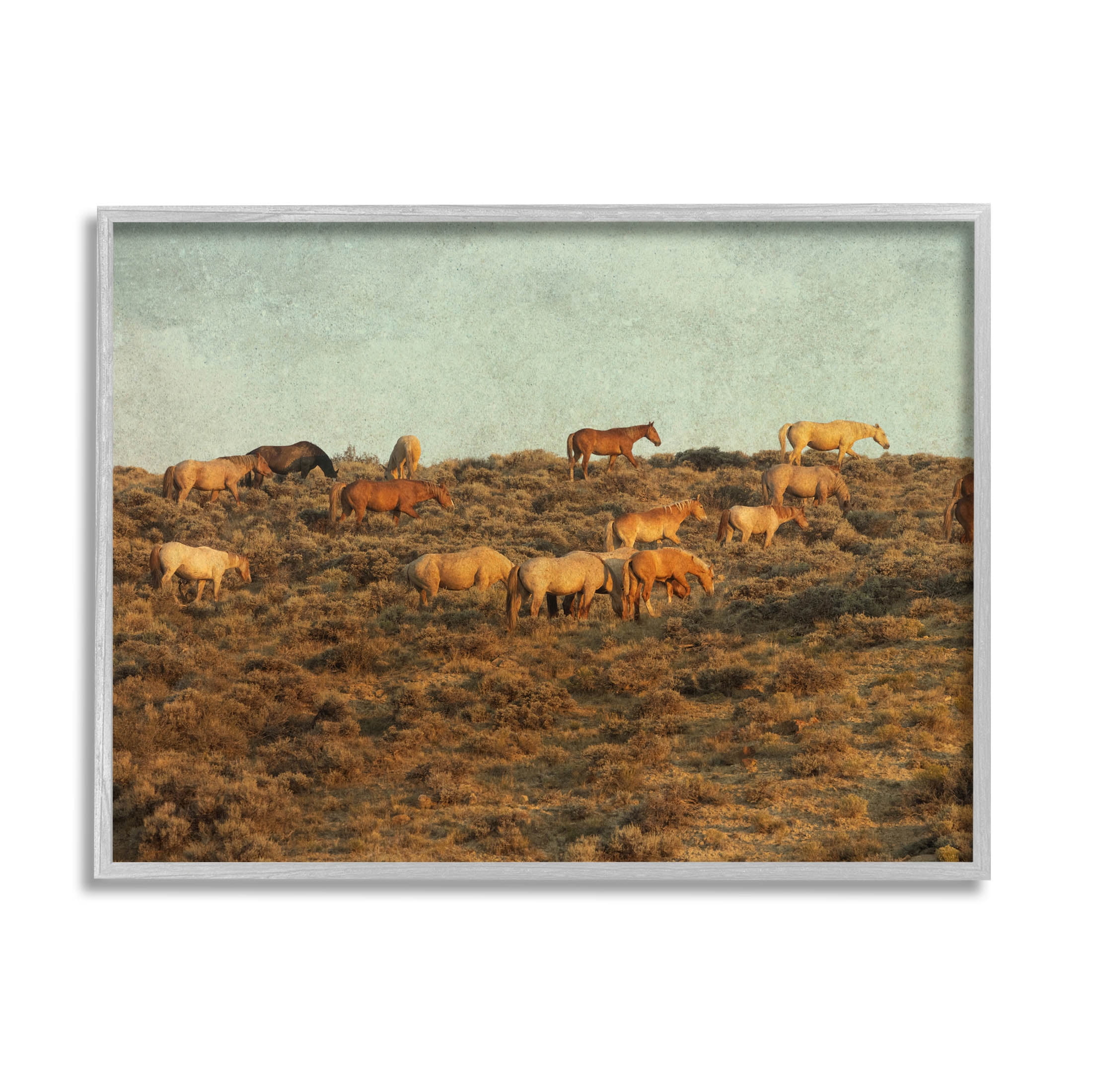 Stupell Industries Rural Horses Grazing Photograph Gray Framed Art Print Wall Art, Design by Jan Walters